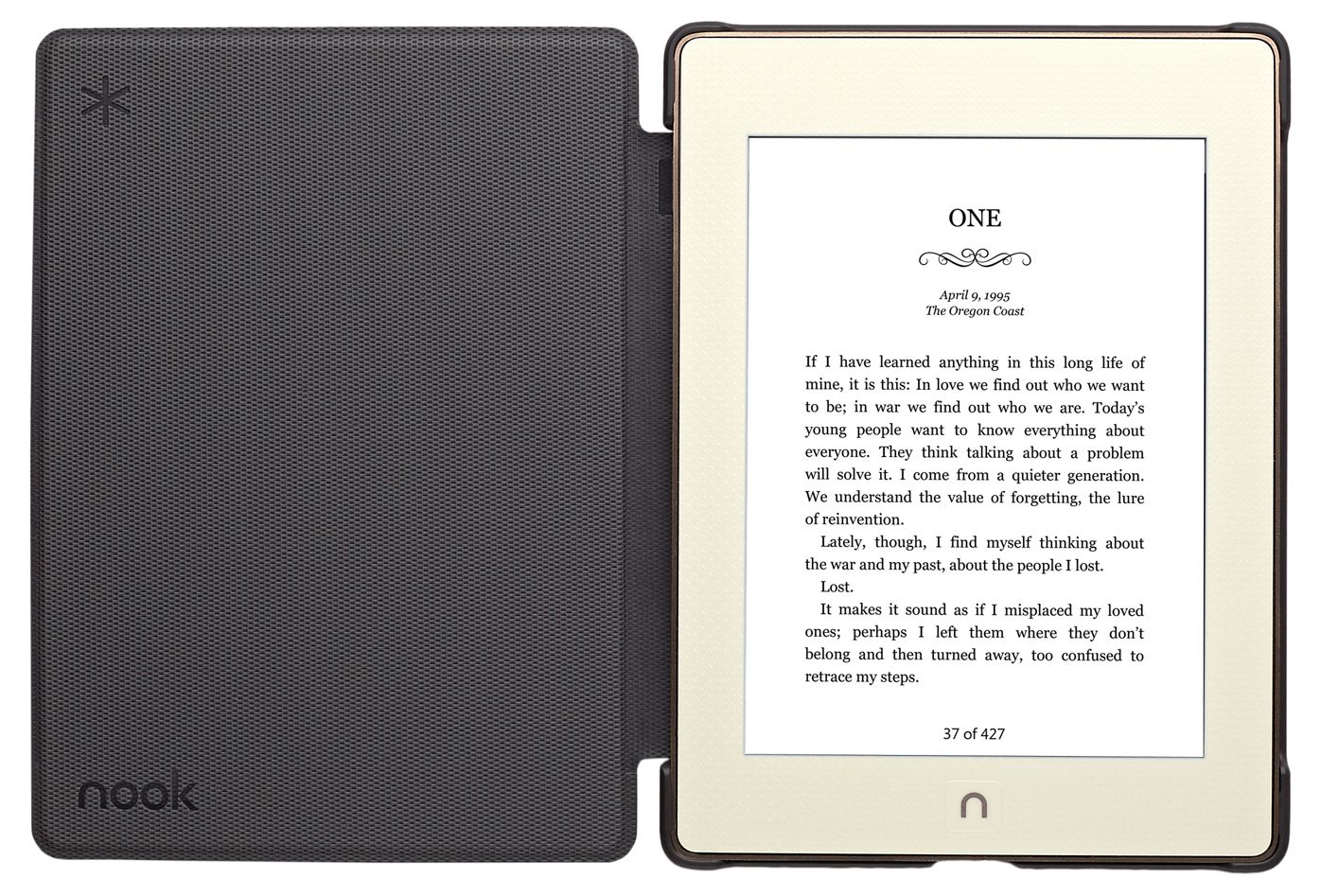 GlowLight Plus (6" Display) Book Cover in Windowpane