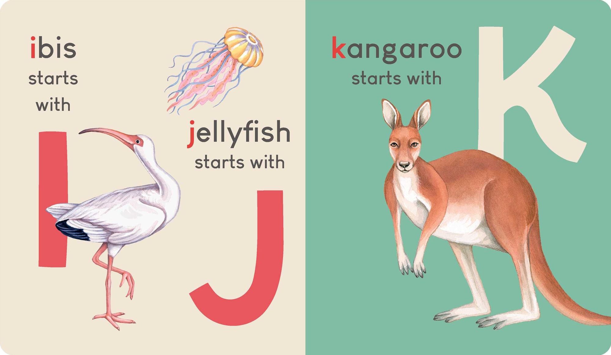 Carry Me: Animal Alphabet: Carry Me Board Book