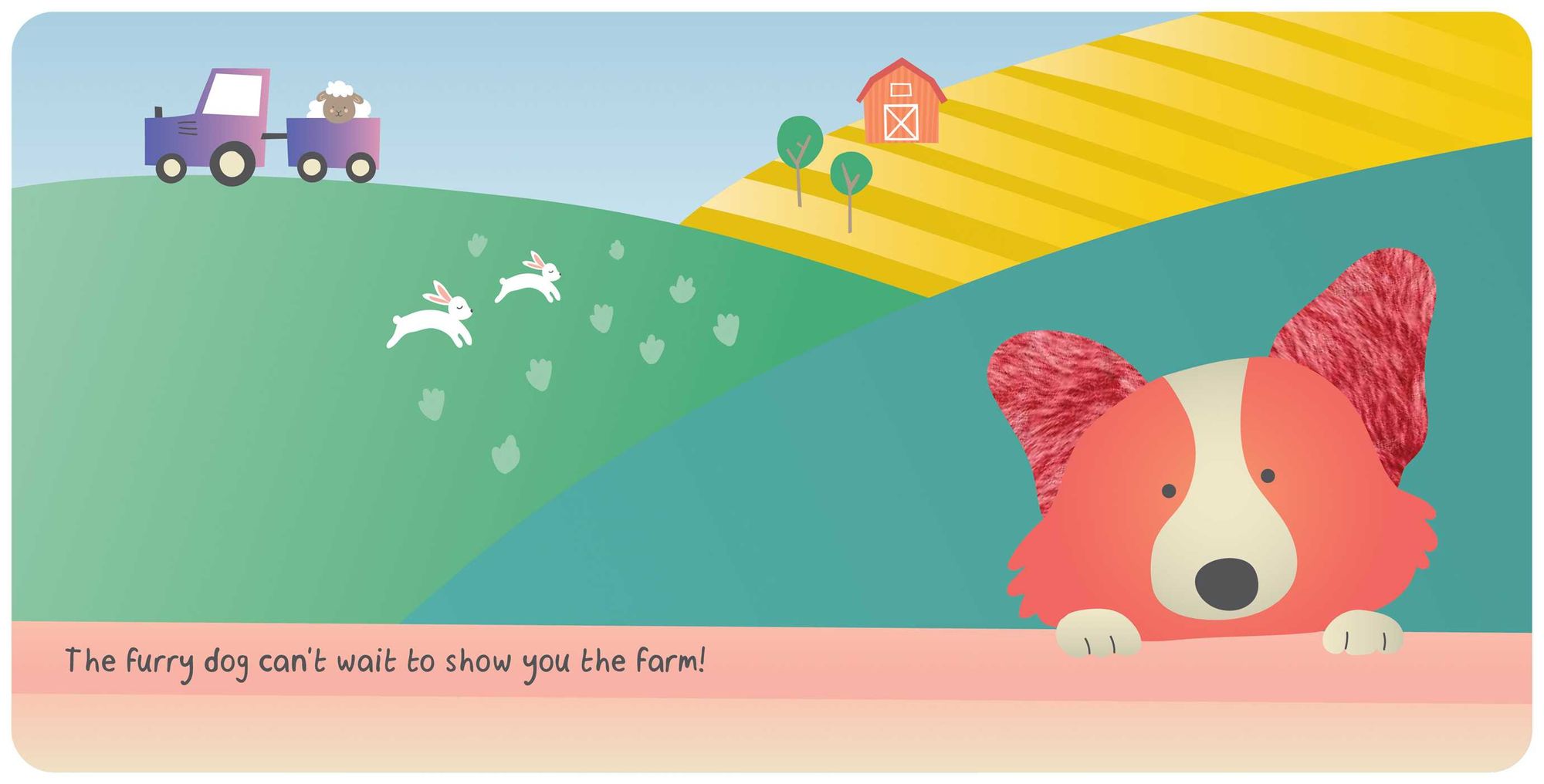 Farm Animals: My First Touch & Feel Book: Board Book with Touch and Feel Elements