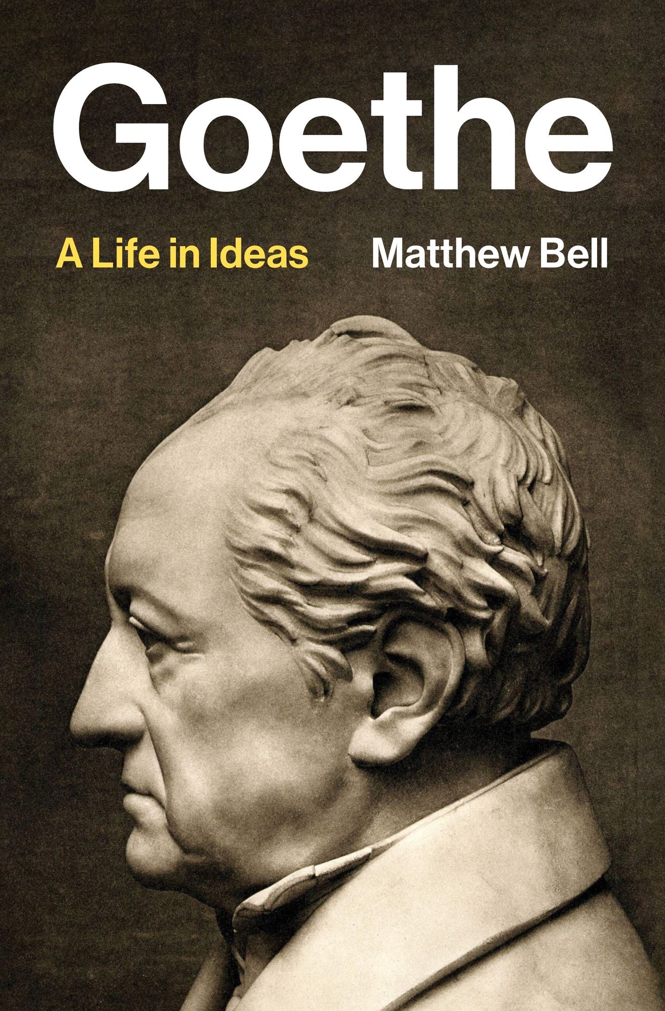 Goethe: A Life in Ideas