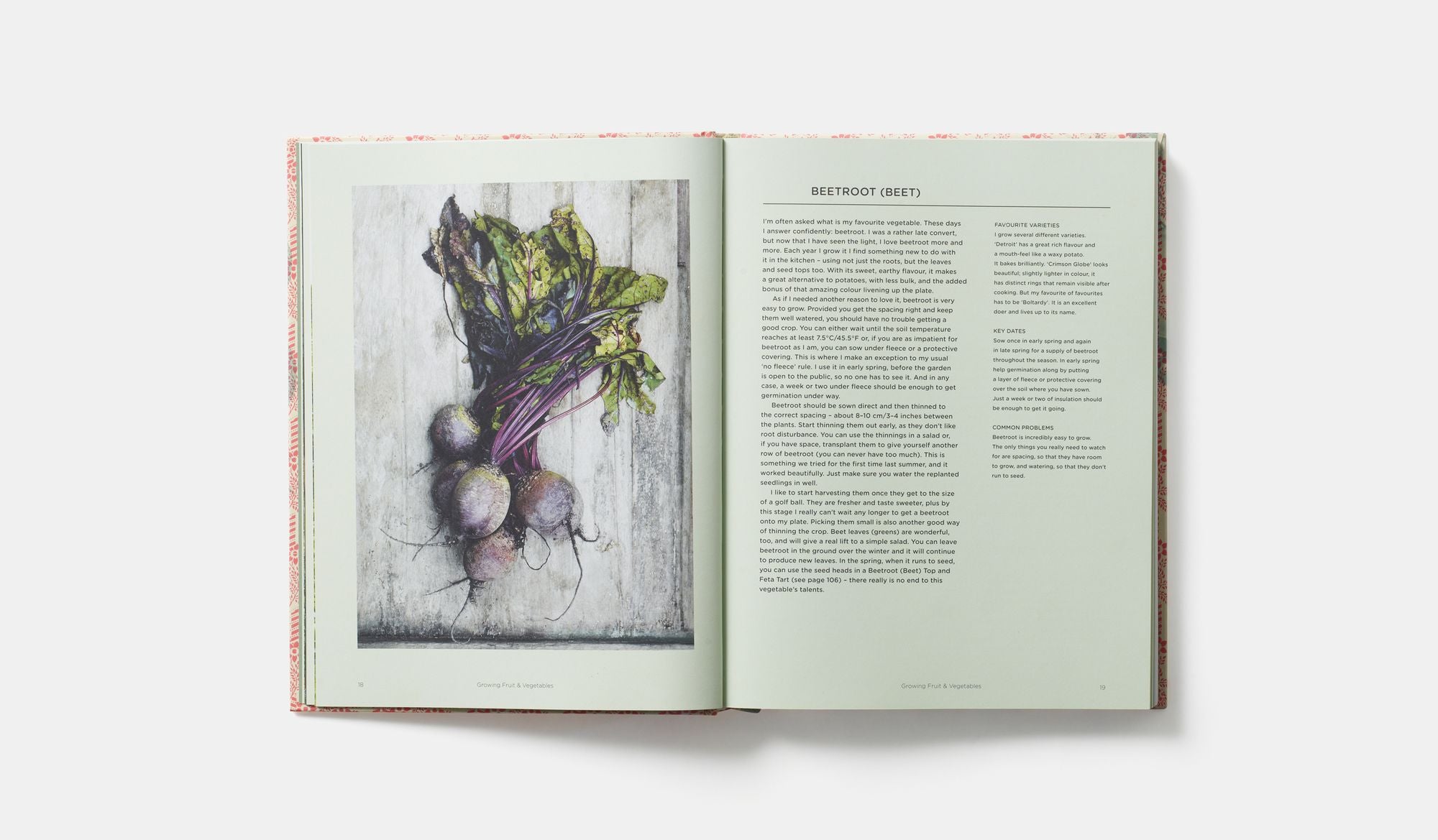 The Great Dixter Cookbook: Recipes from an English Garden