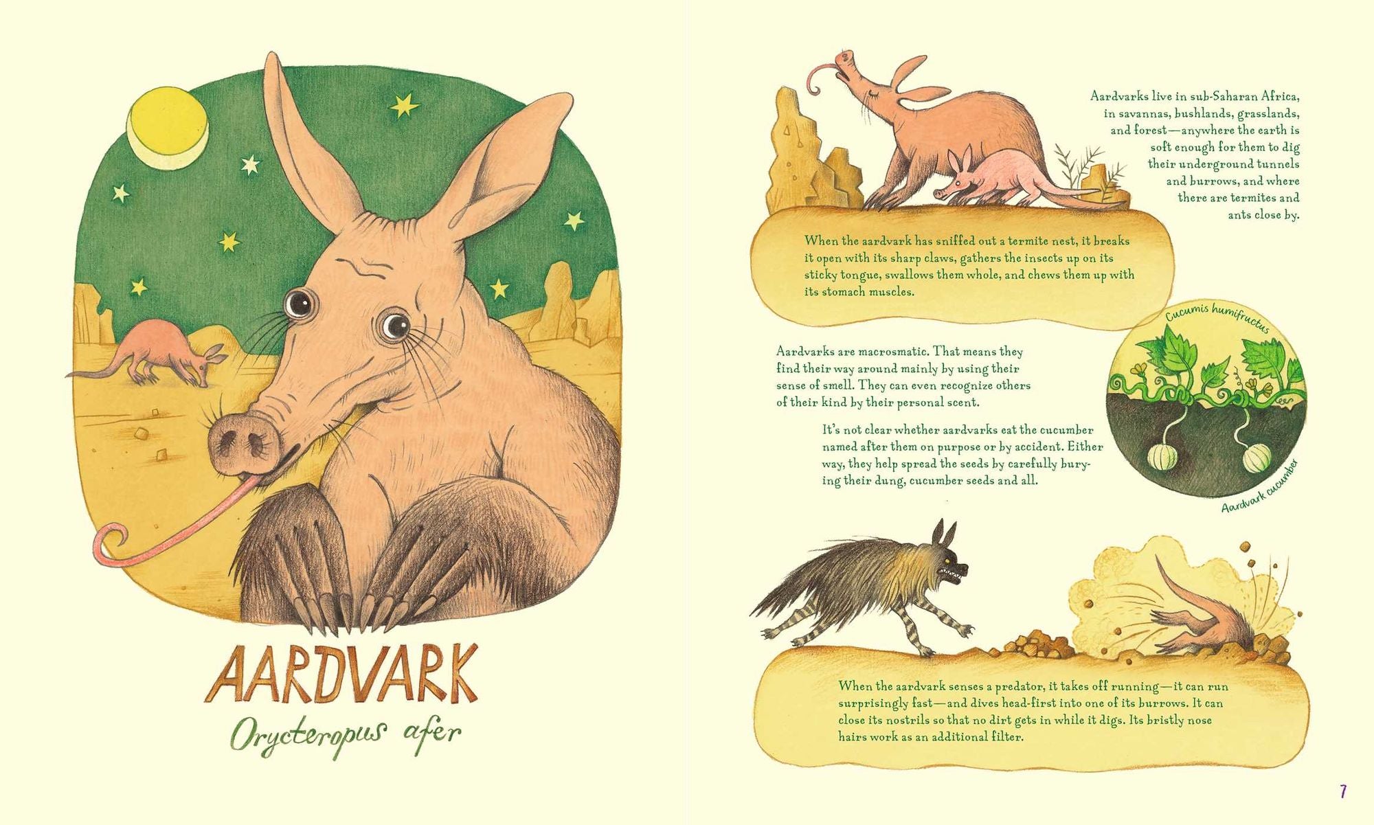 Genius Noses: A Curious Animal Compendium