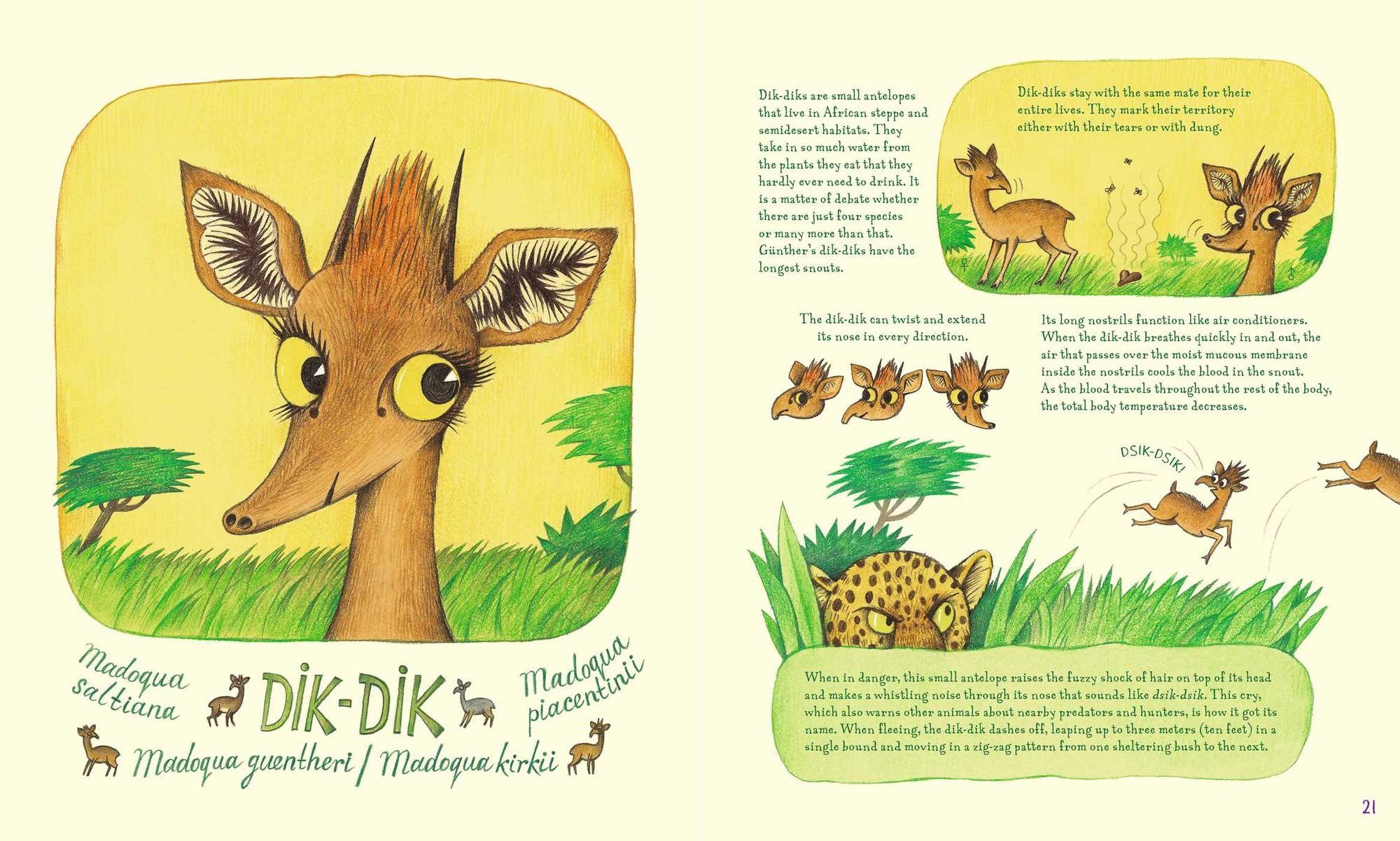 Genius Noses: A Curious Animal Compendium