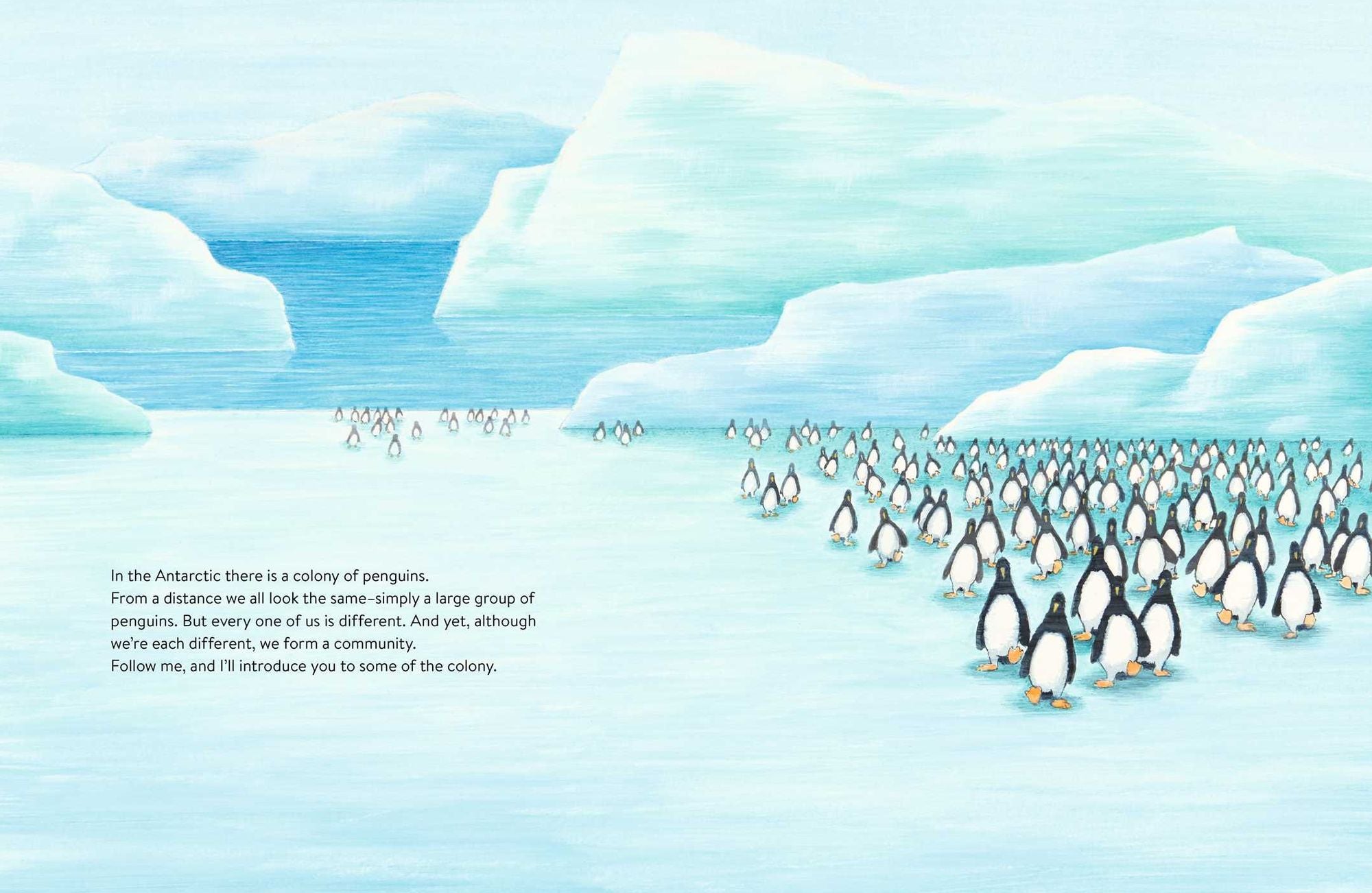 A Penguin Like Me