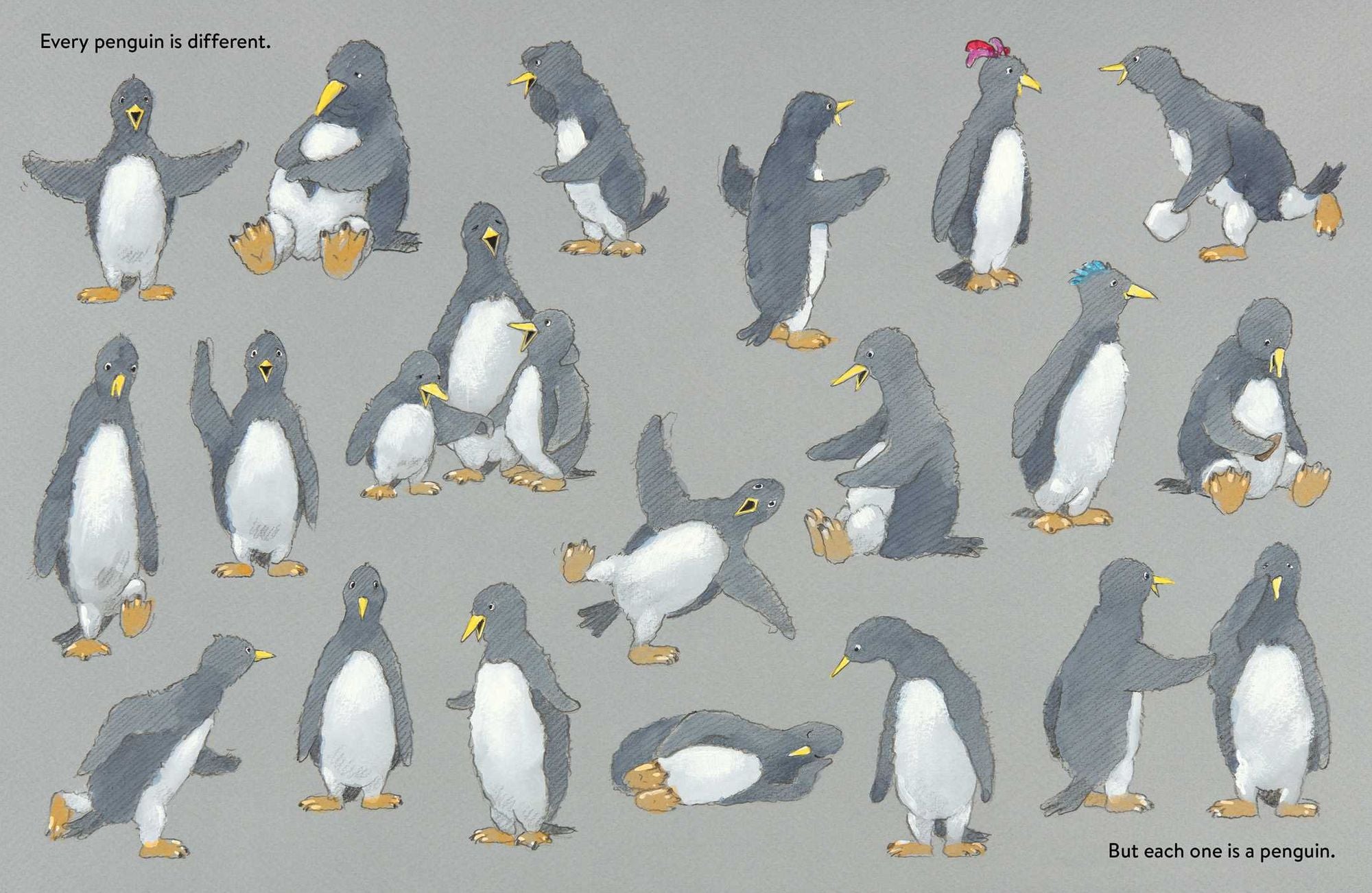 A Penguin Like Me