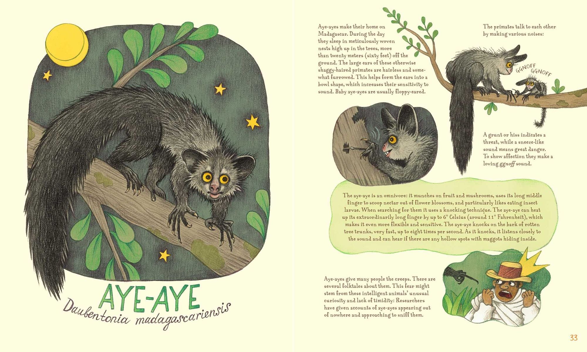 Genius Ears: A Curious Animal Compendium