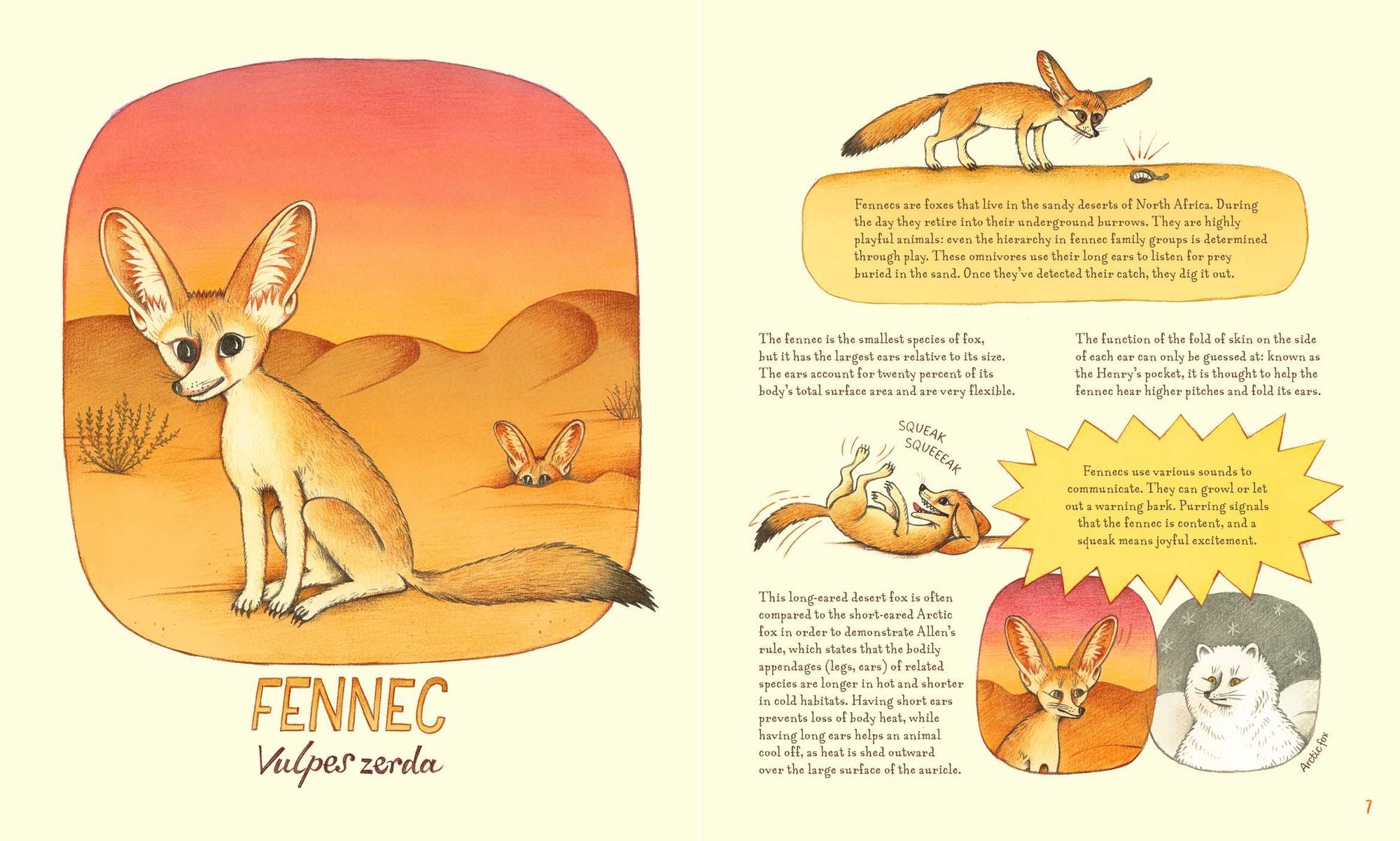 Genius Ears: A Curious Animal Compendium