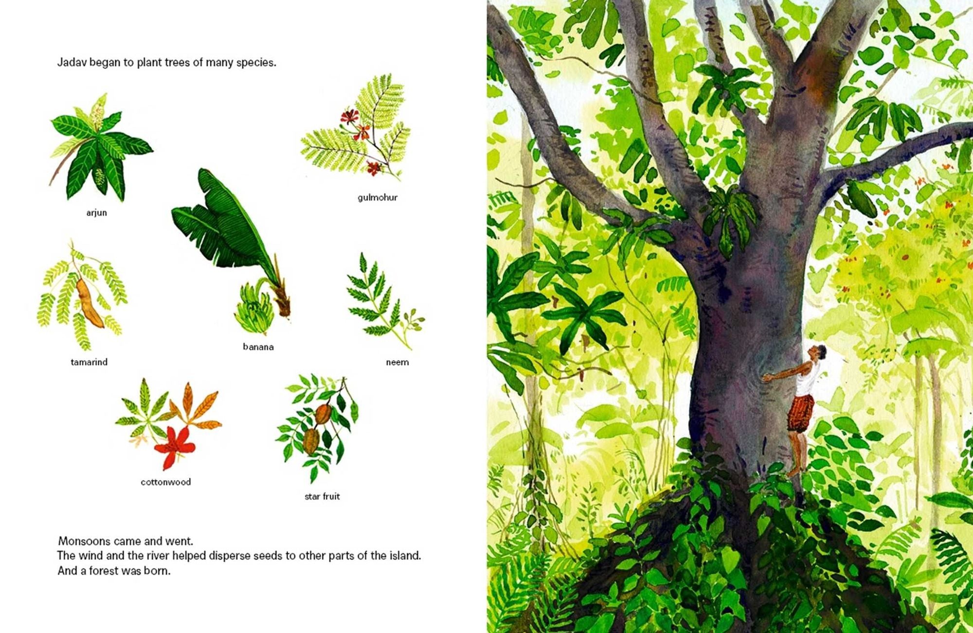 The Forest Keeper-The True Story of Jadav Payeng