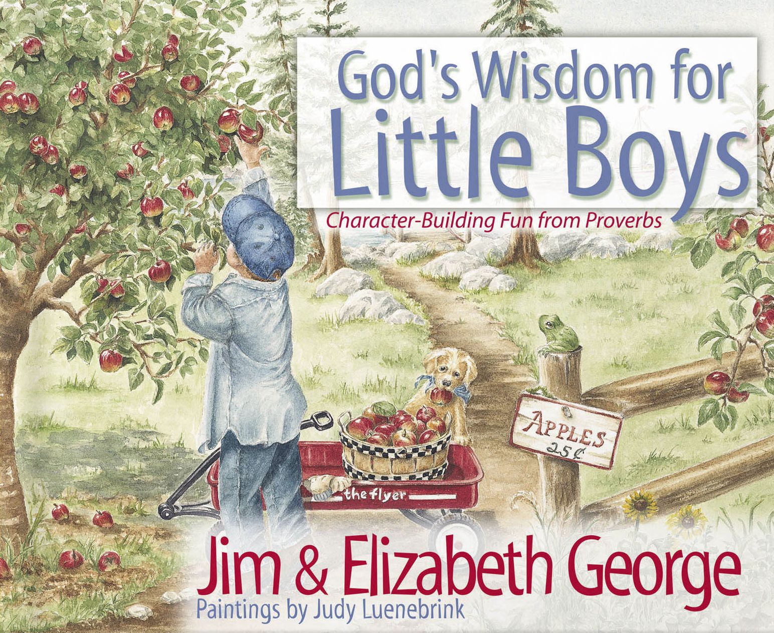 God's Wisdom for Little Boys: Character-Building Fun from Proverbs