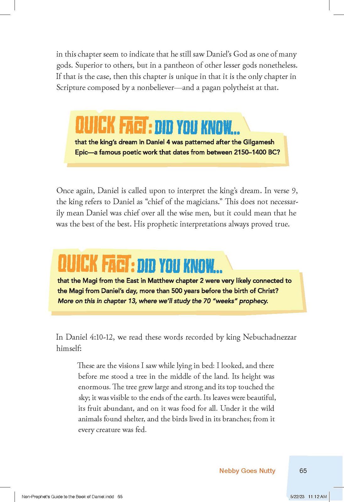 The Non-Prophet's Guide to the Book of Daniel: Bible Prophecy for Everyone