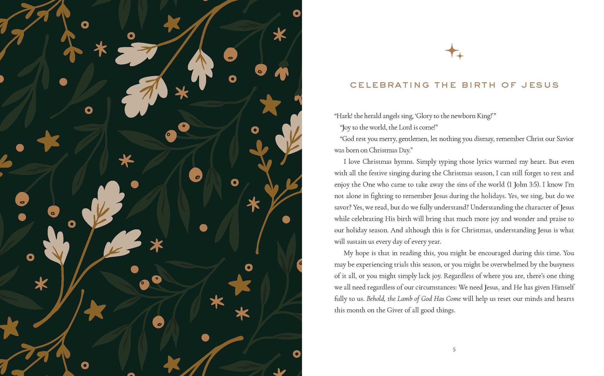 Behold, the Lamb of God Has Come: Celebrating the 25 Days of Christmas Together