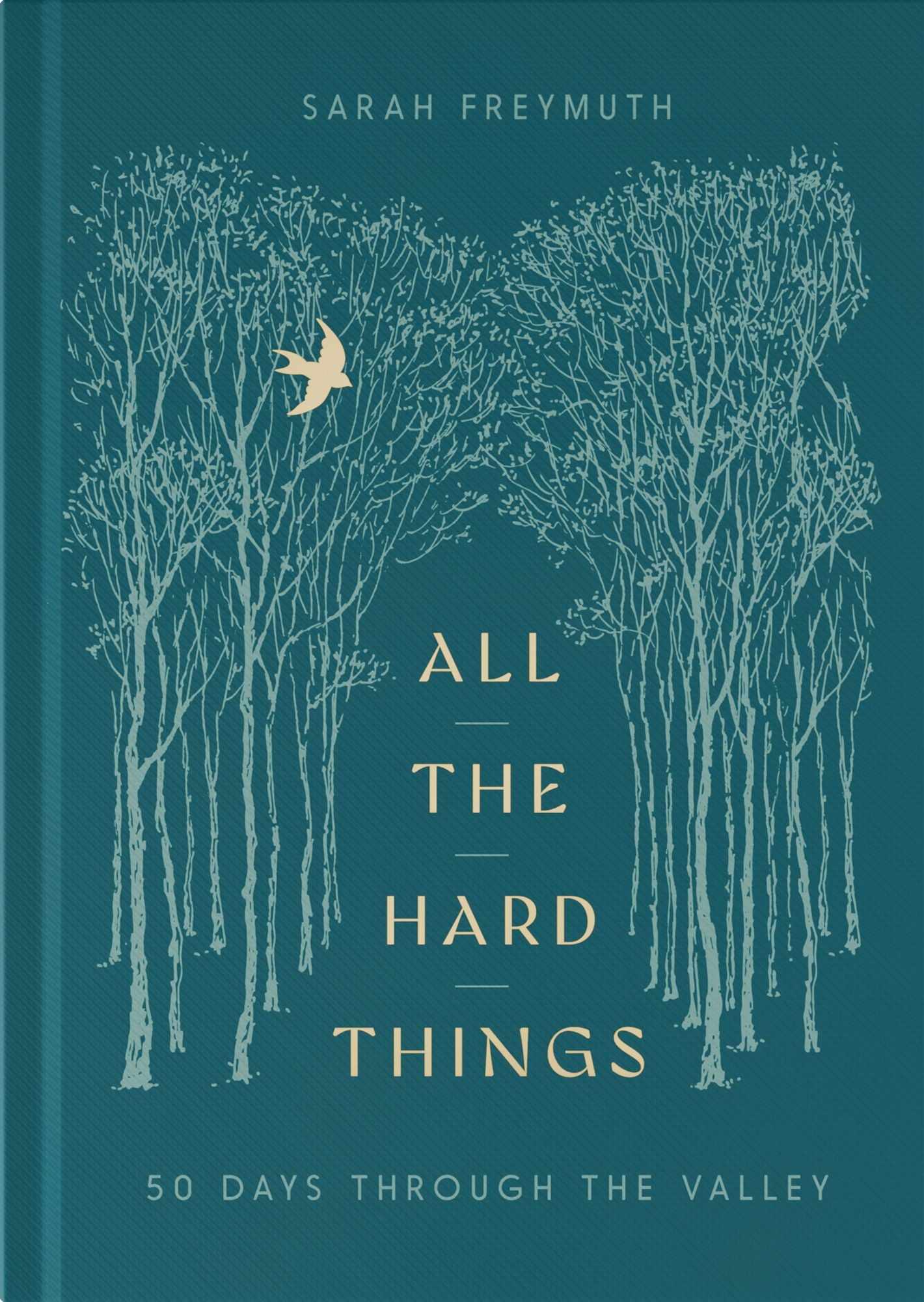 All the Hard Things: 50 Days Through the Valley