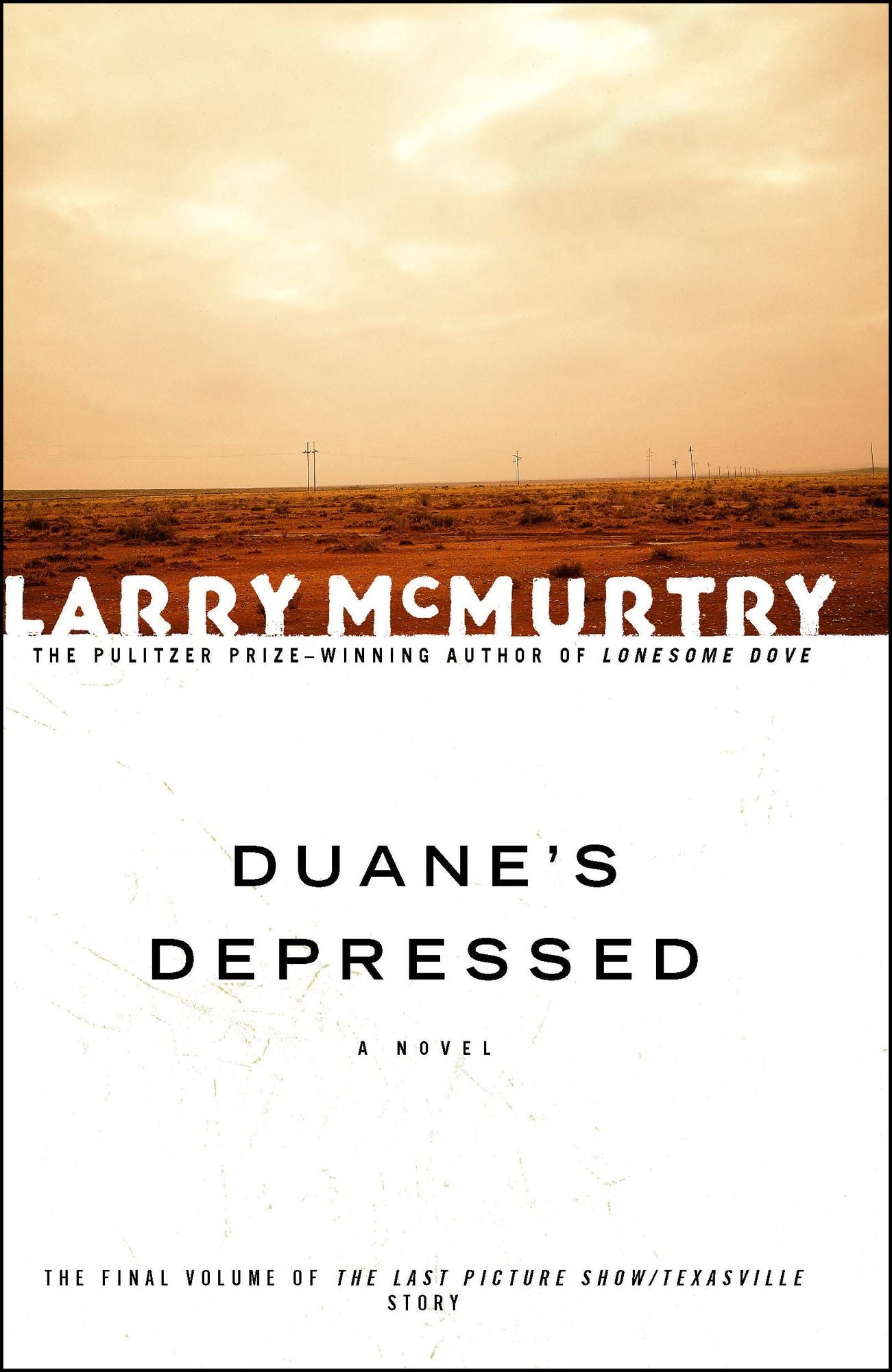 Duane's Depressed: A Novel