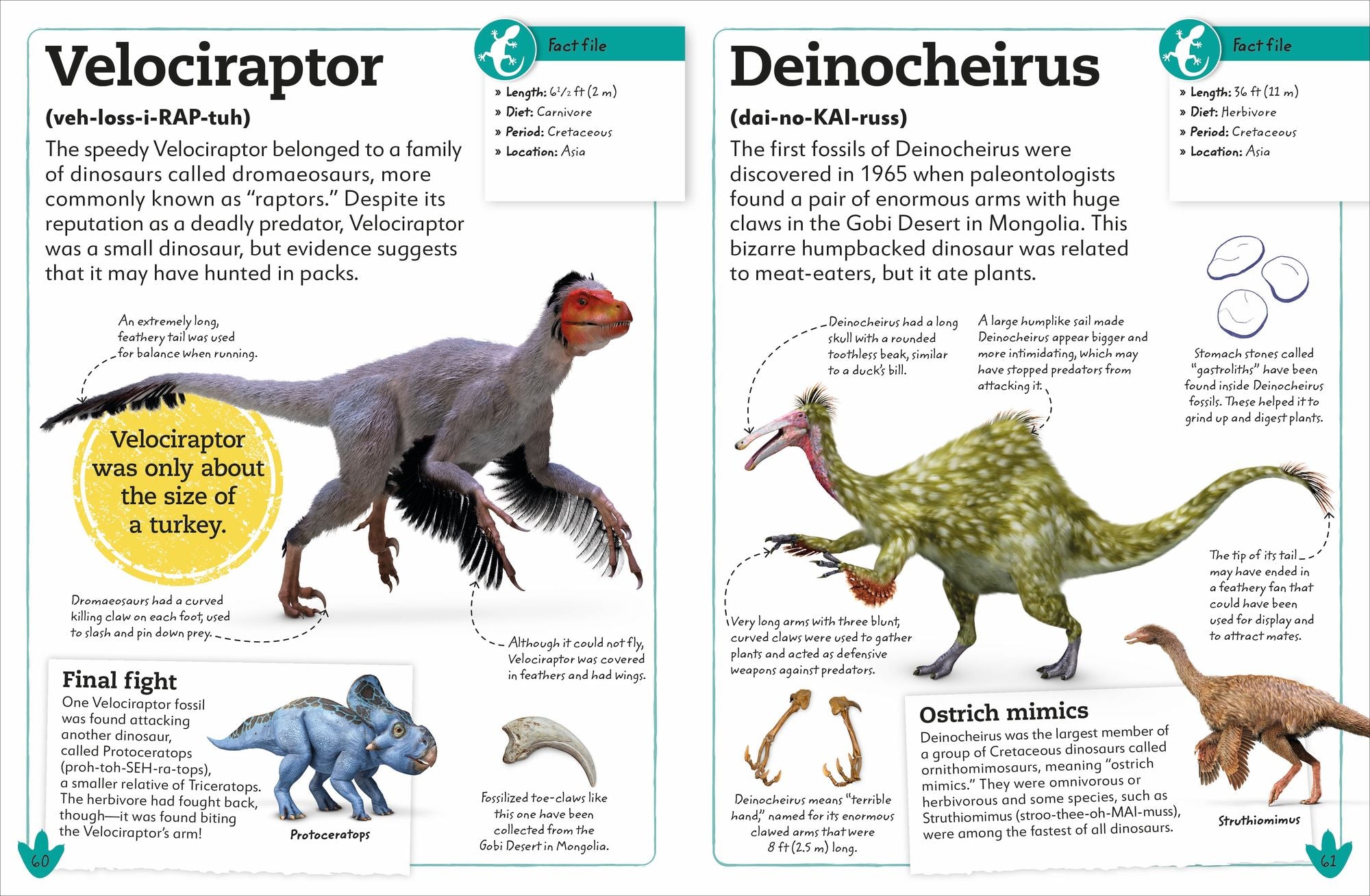 My Book of Dinosaurs and Prehistoric Life: Animals and plants to amaze, surprise, and astonish!