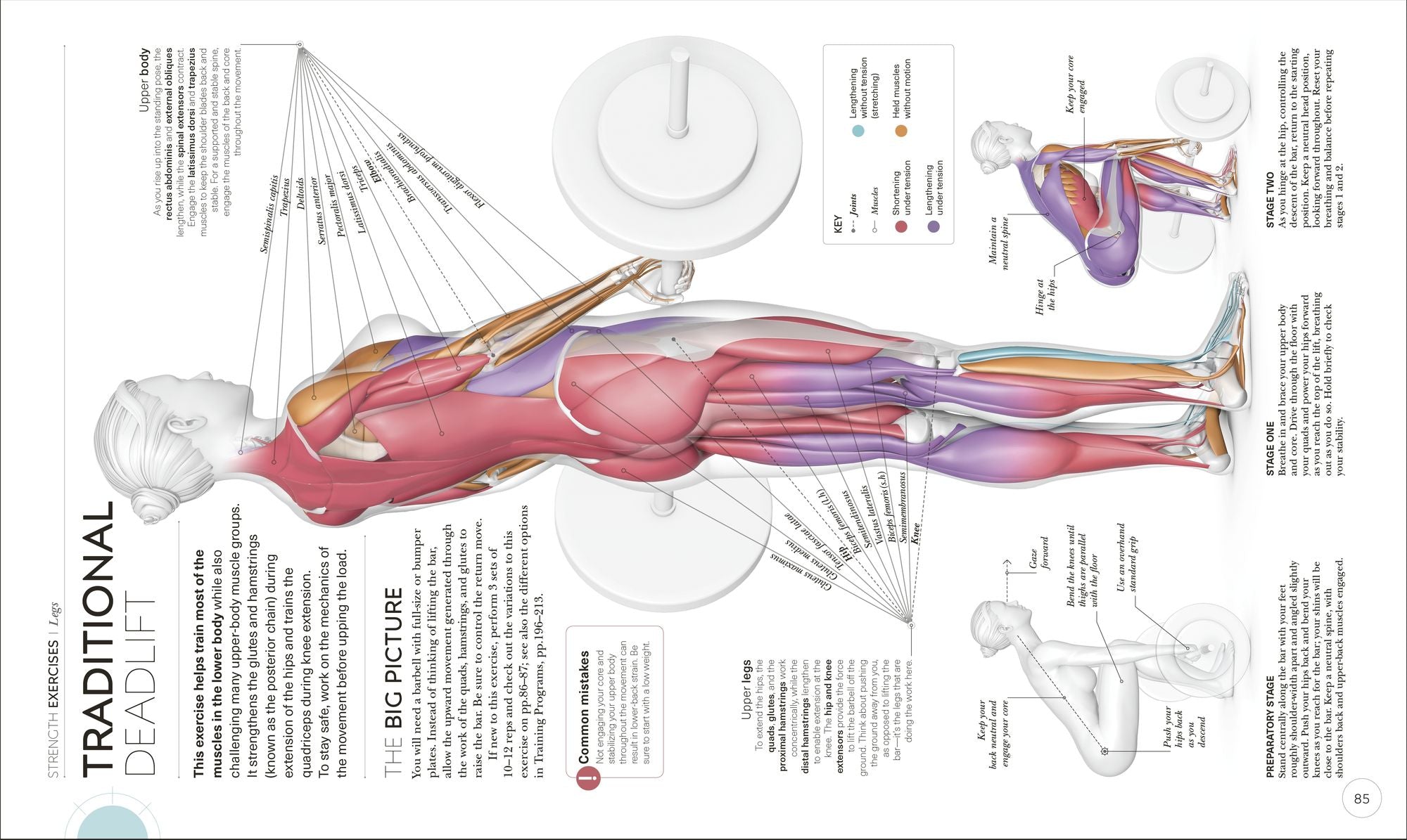 Science of Strength Training: Understand the anatomy and physiology to transform your body
