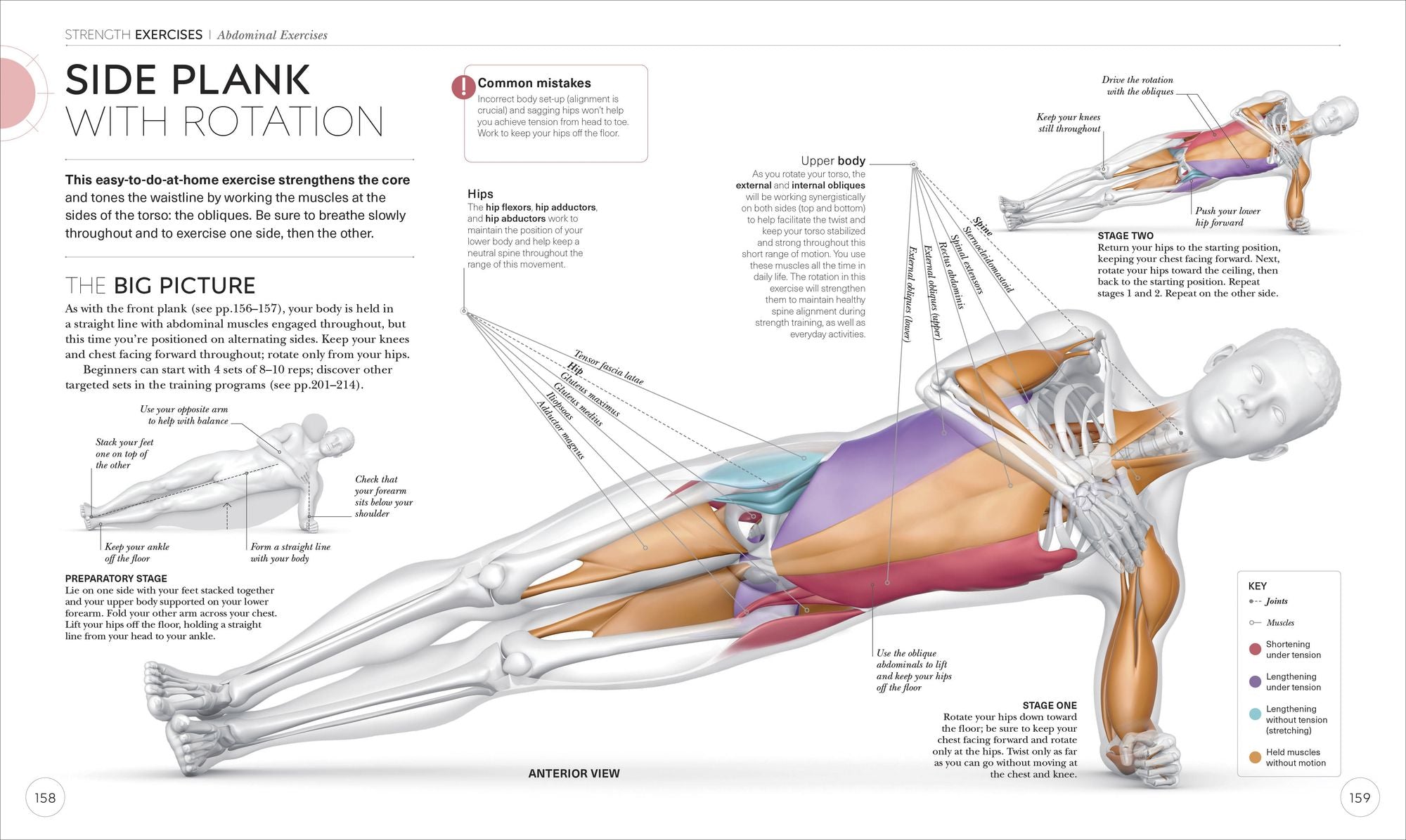Science of Strength Training: Understand the anatomy and physiology to transform your body