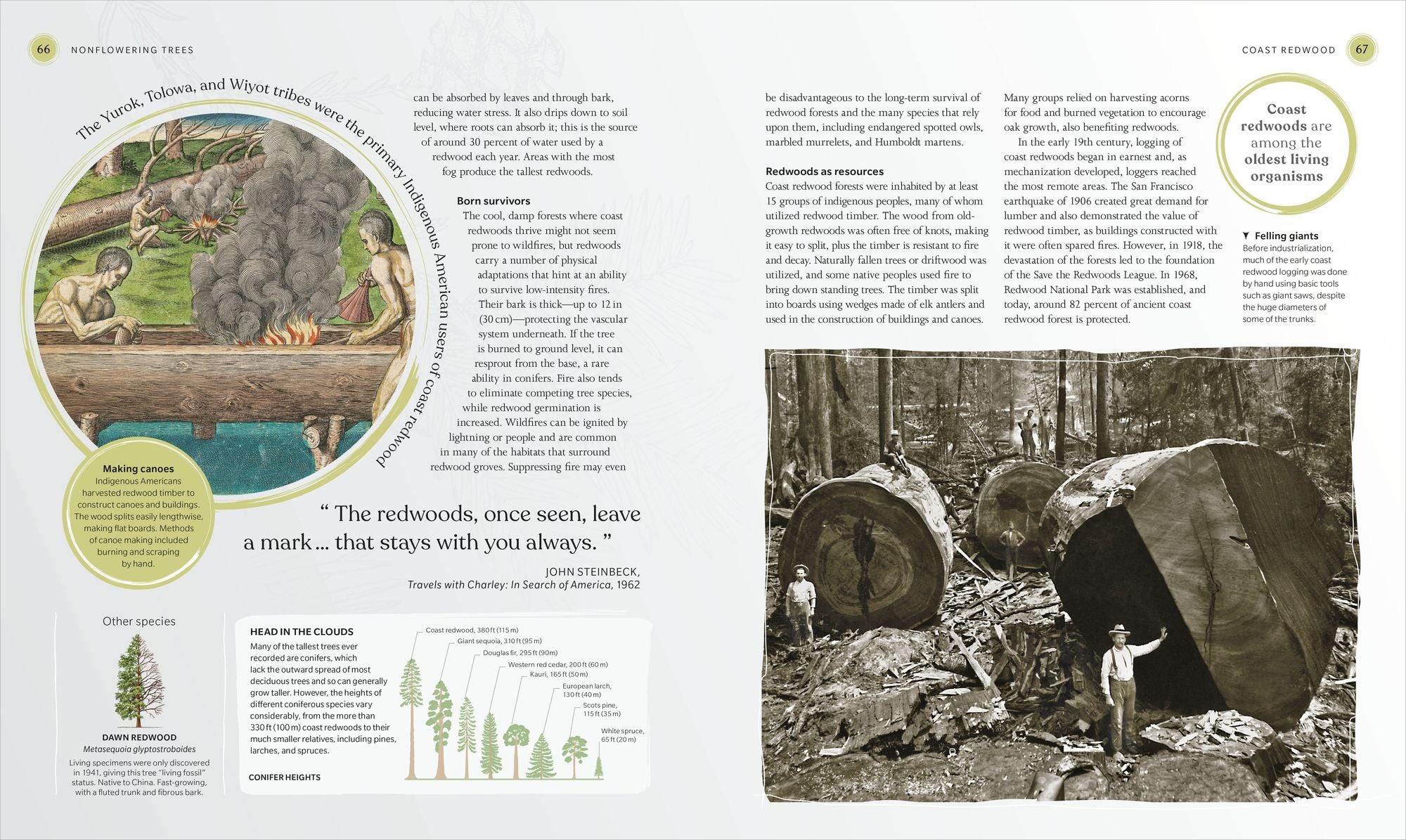 The Tree Book: The Stories, Science, and History of Trees
