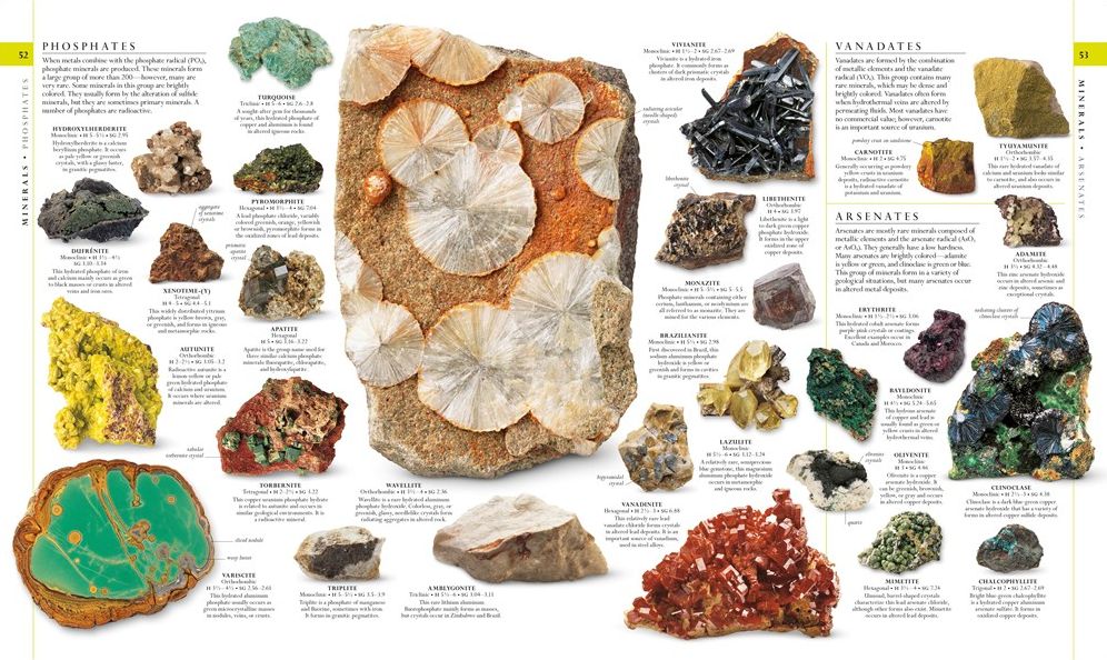 Natural History