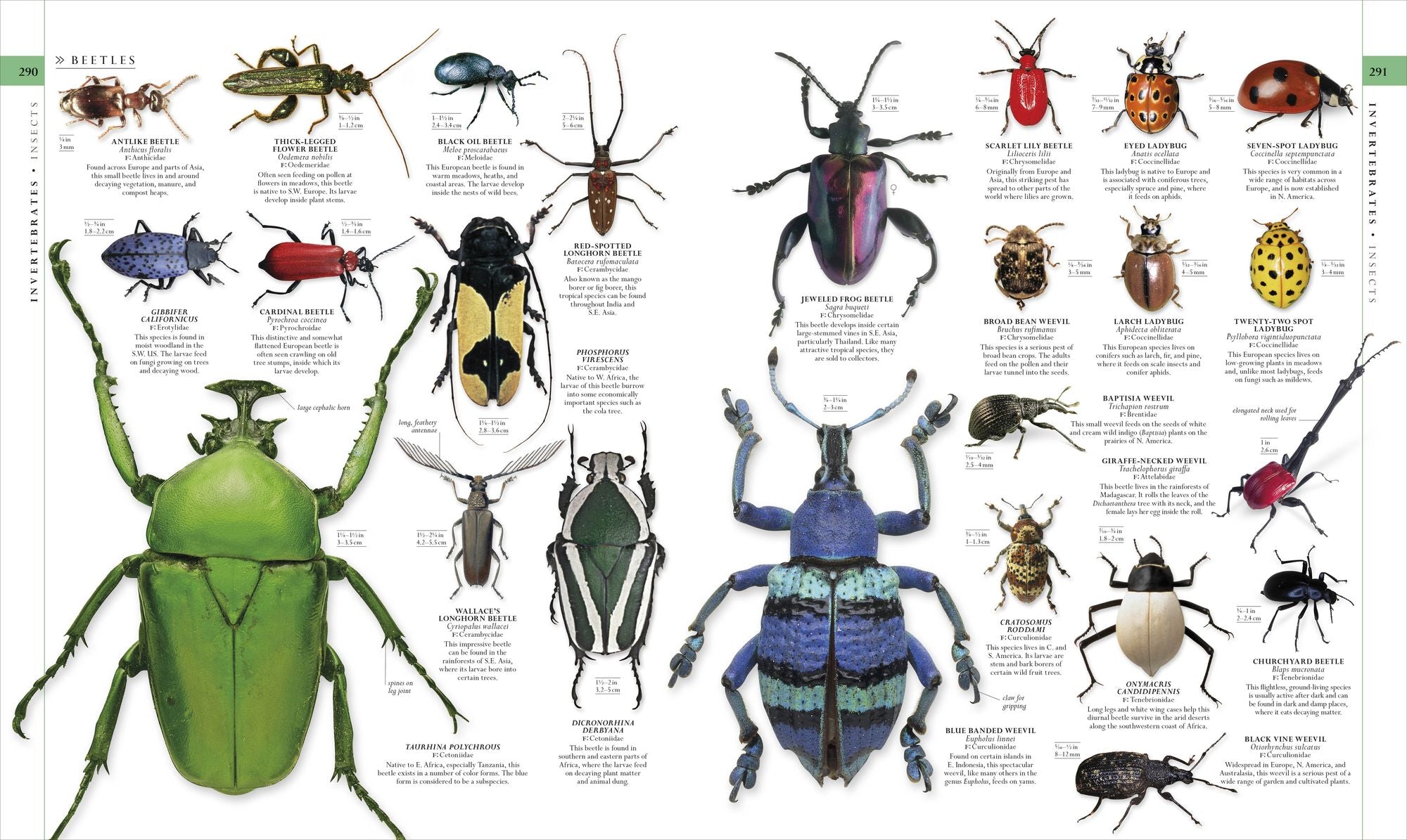 Natural History