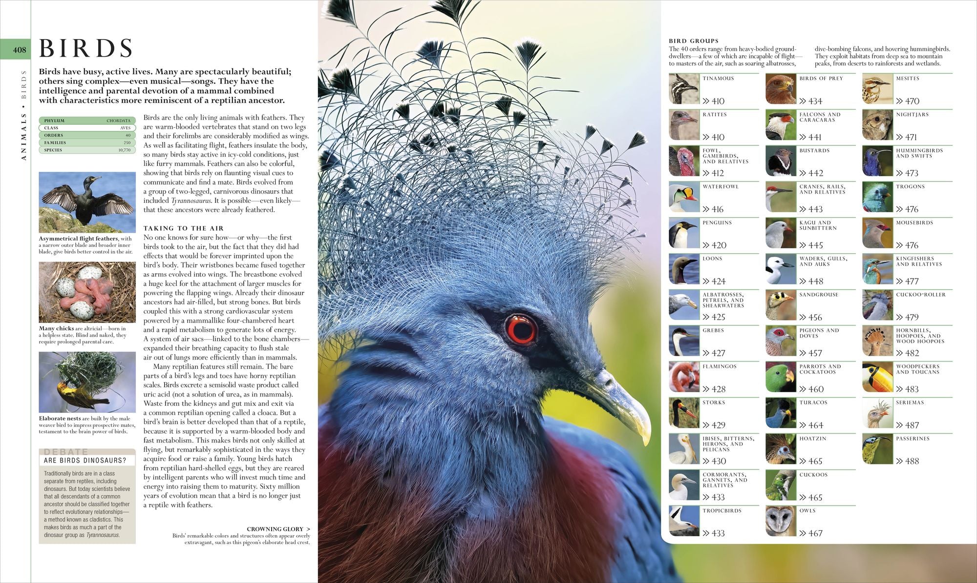 Natural History