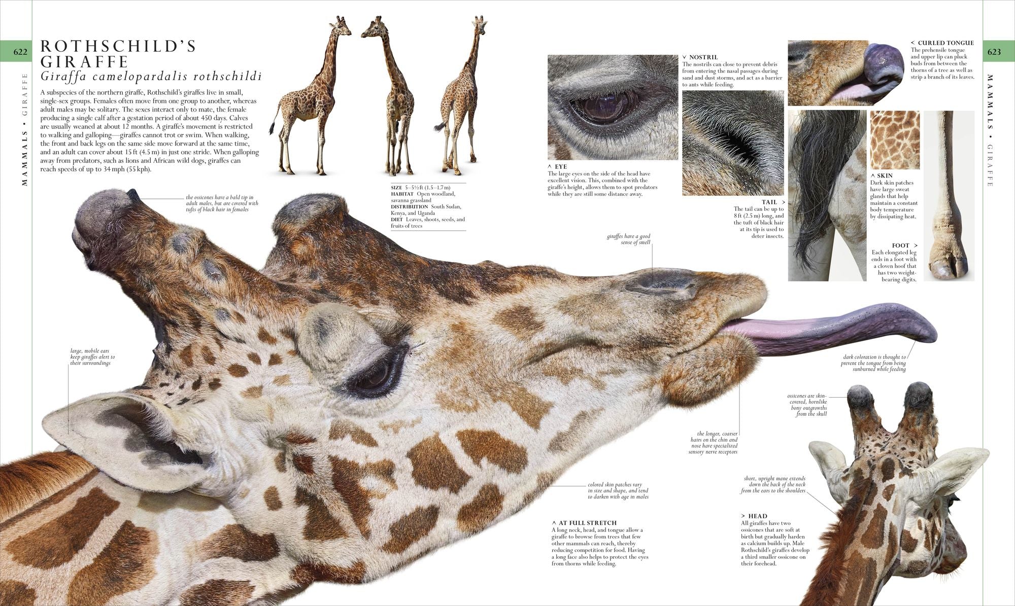 Natural History