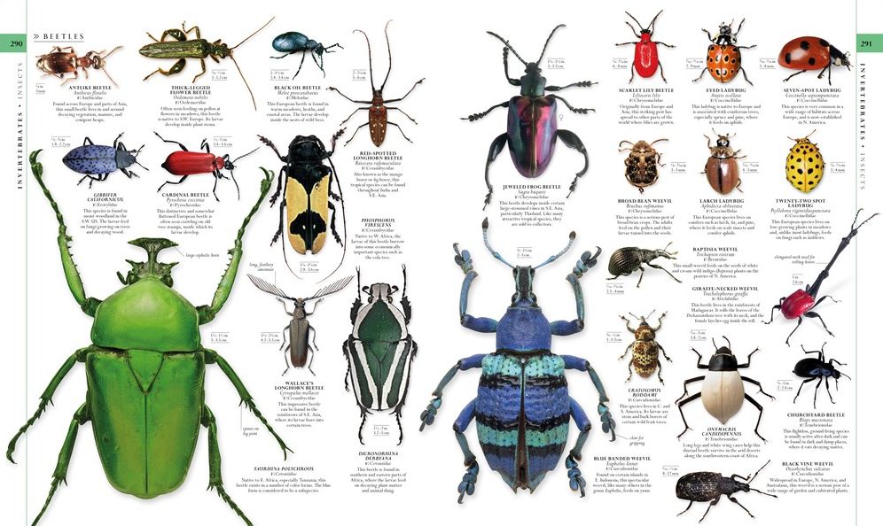 Natural History