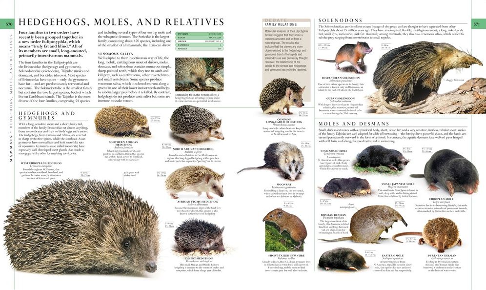 Natural History