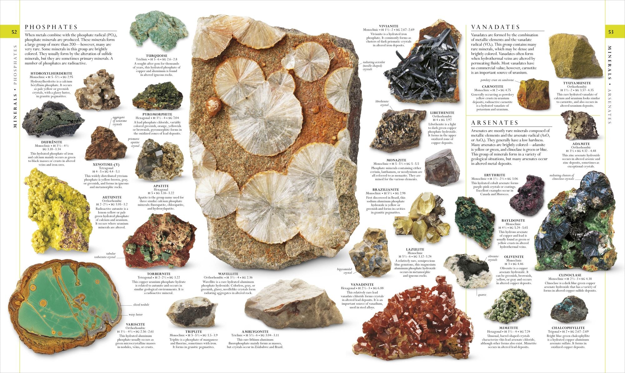 Natural History