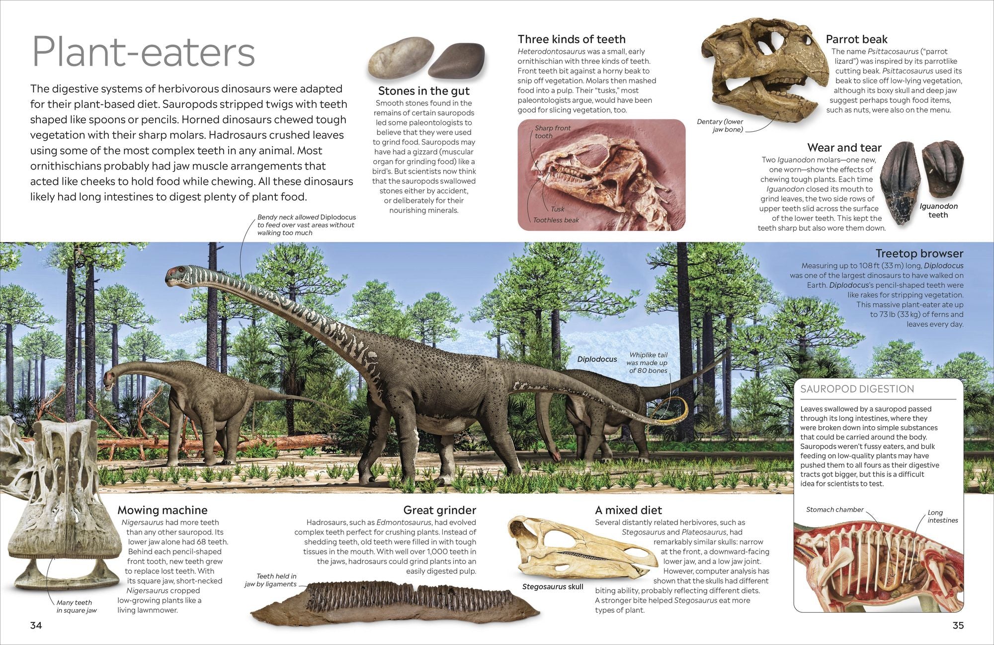 Eyewitness Dinosaur