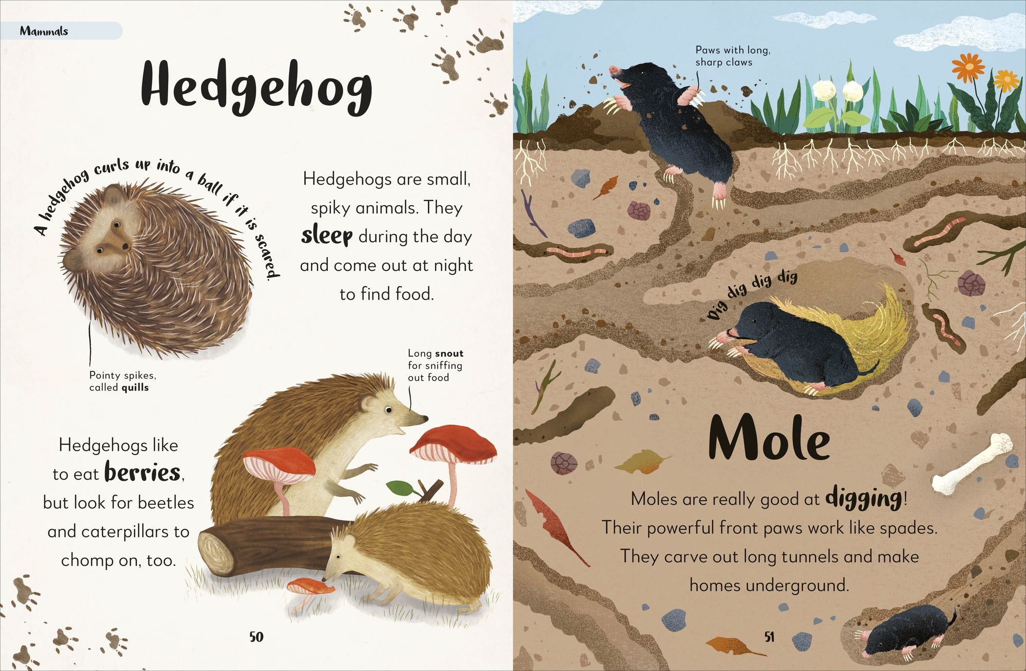 The Bedtime Book of Animals