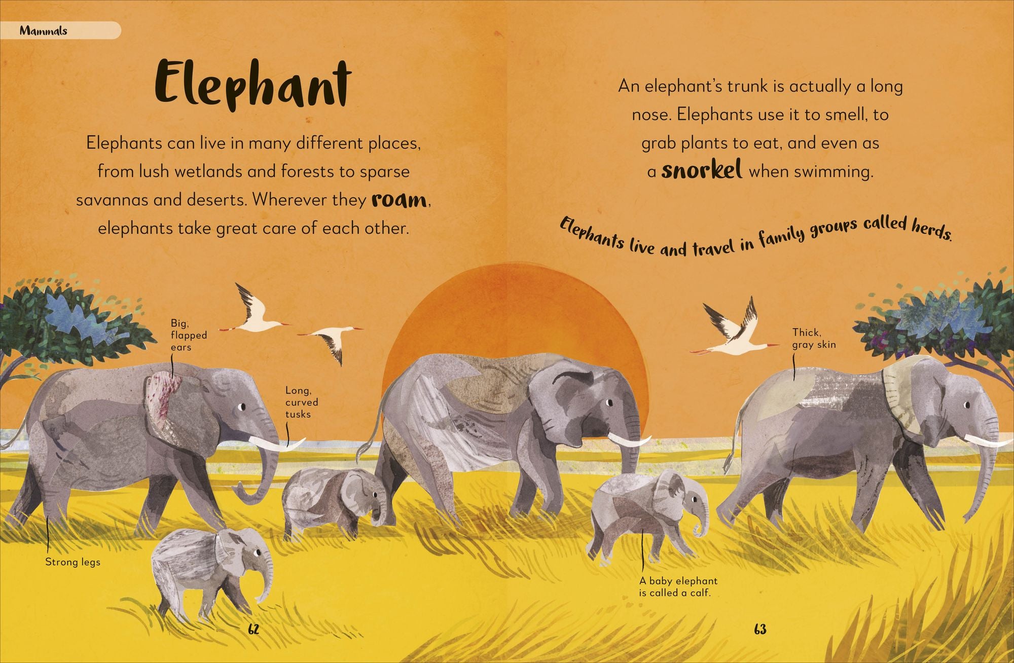 The Bedtime Book of Animals