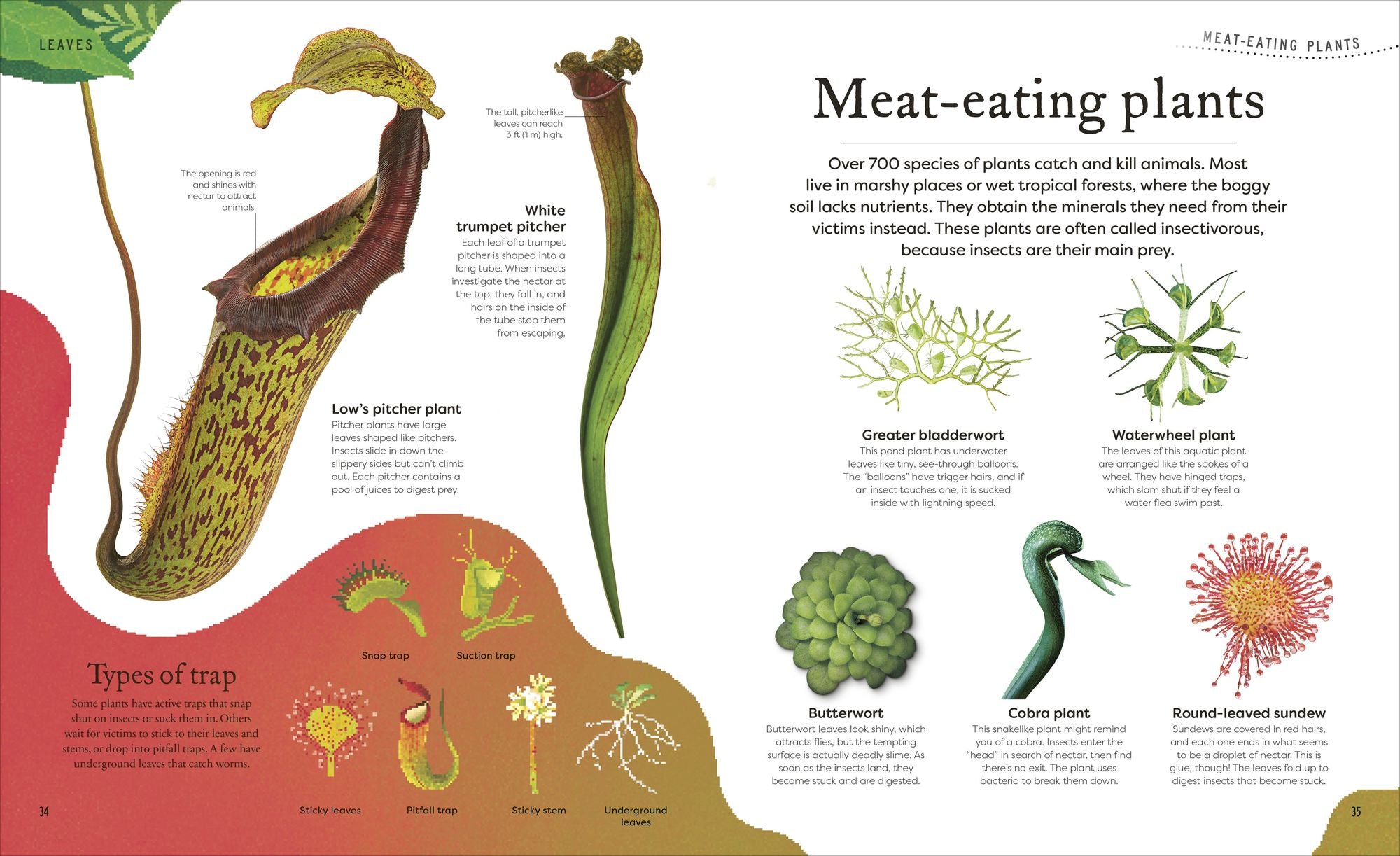 The Secret World of Plants: Tales of More Than 100 Remarkable Flowers, Trees, and Seeds