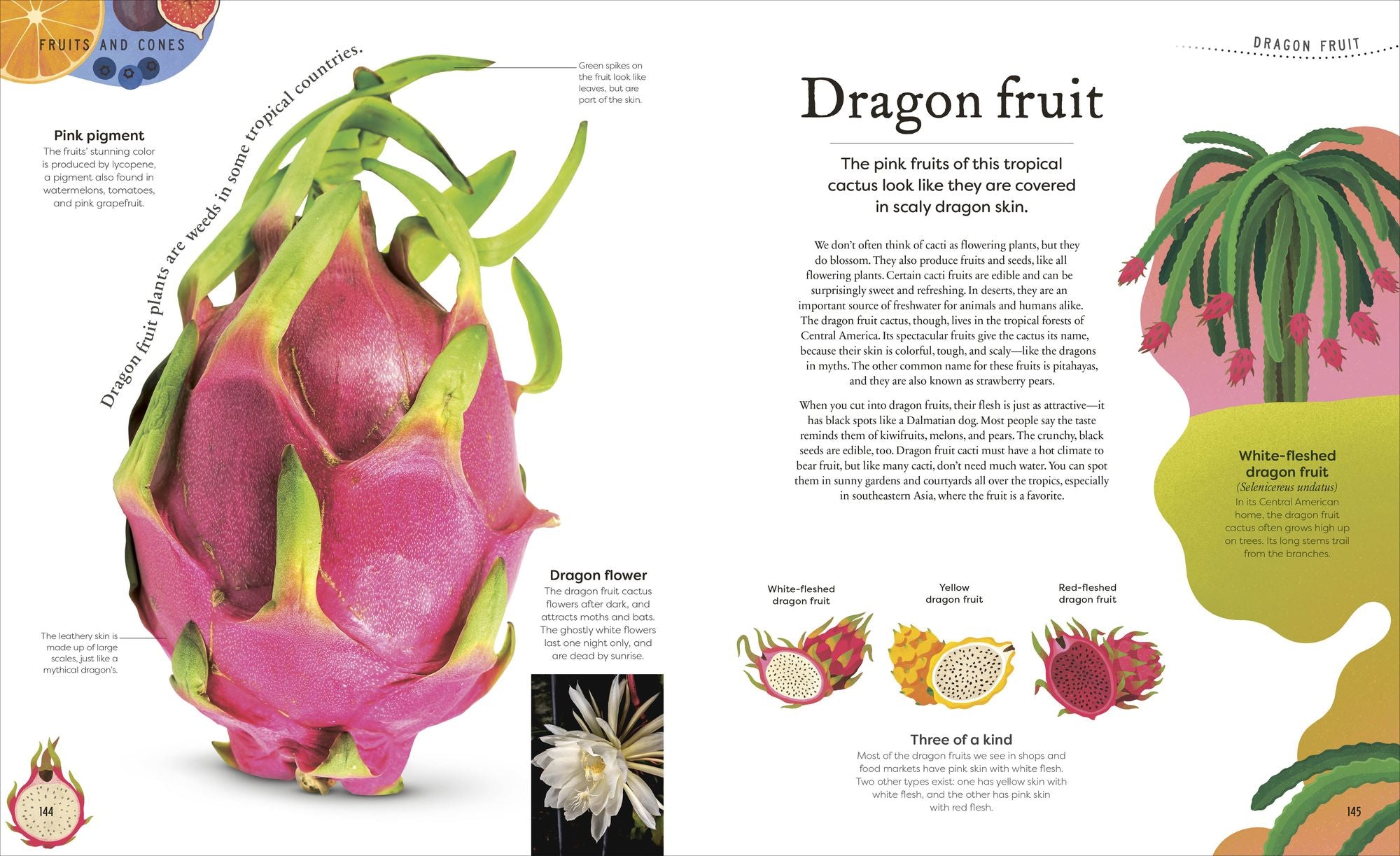 The Secret World of Plants: Tales of More Than 100 Remarkable Flowers, Trees, and Seeds