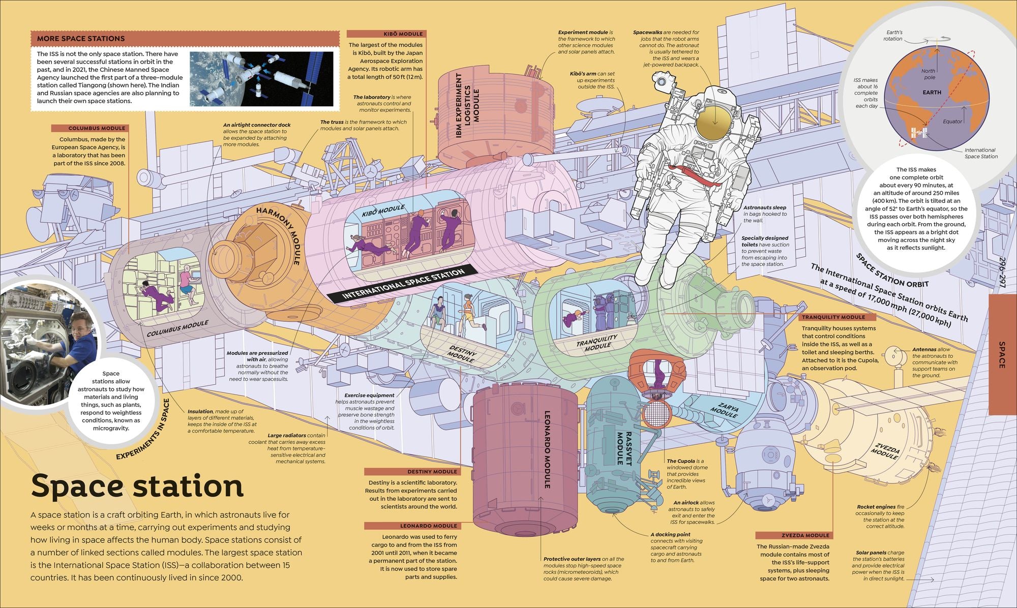 How Everything Works: From Brain Cells to Black Holes