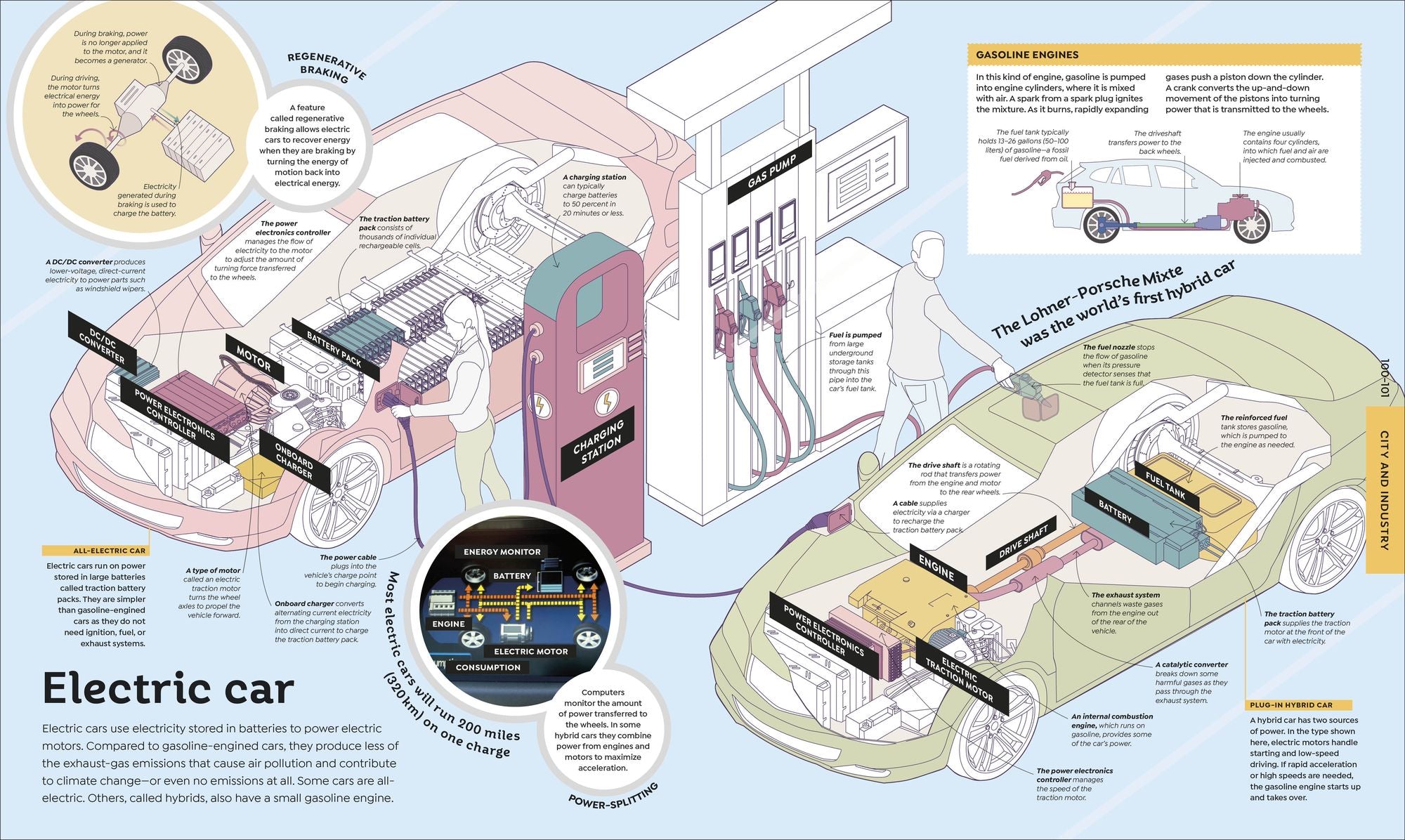 How Everything Works: From Brain Cells to Black Holes
