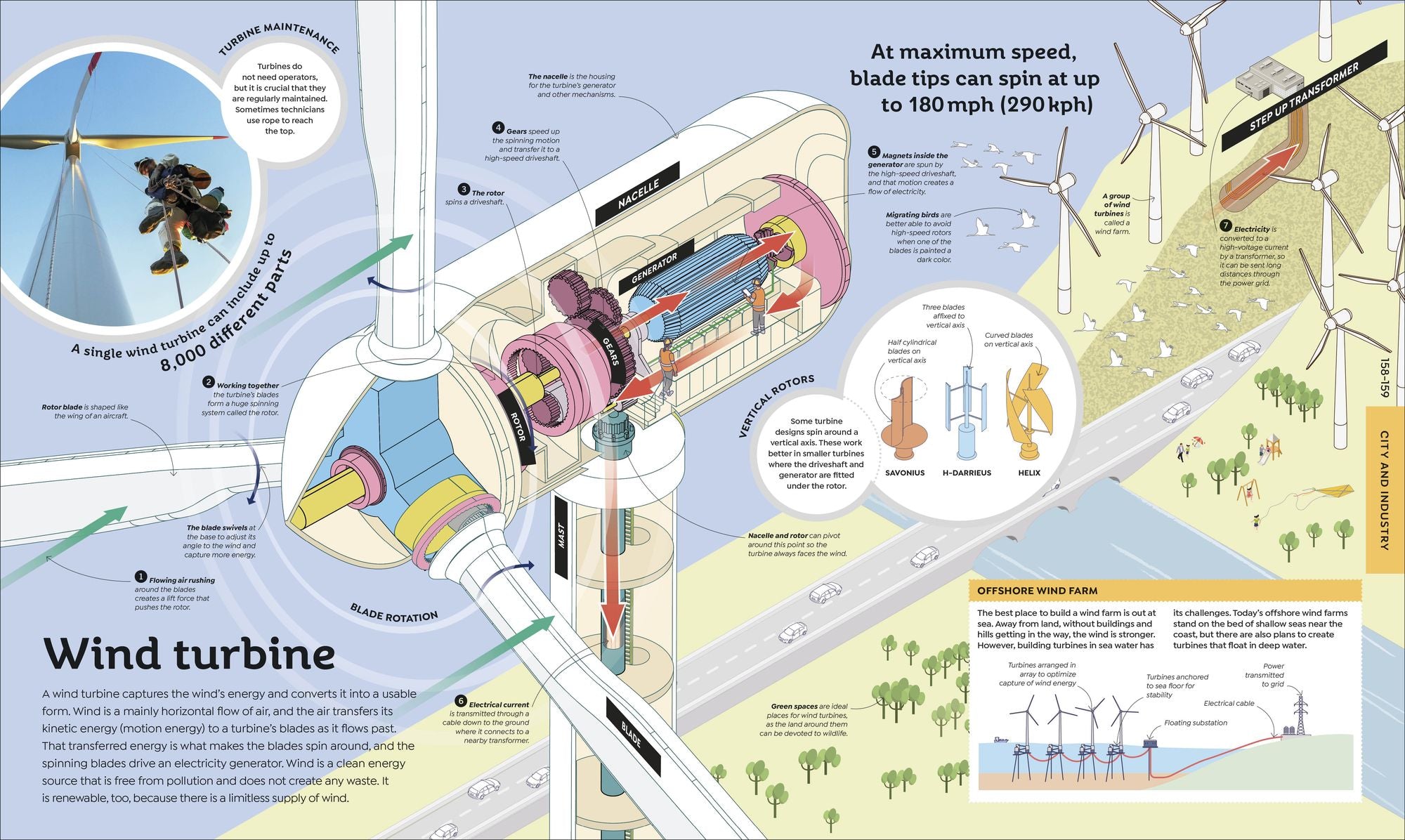 How Everything Works: From Brain Cells to Black Holes