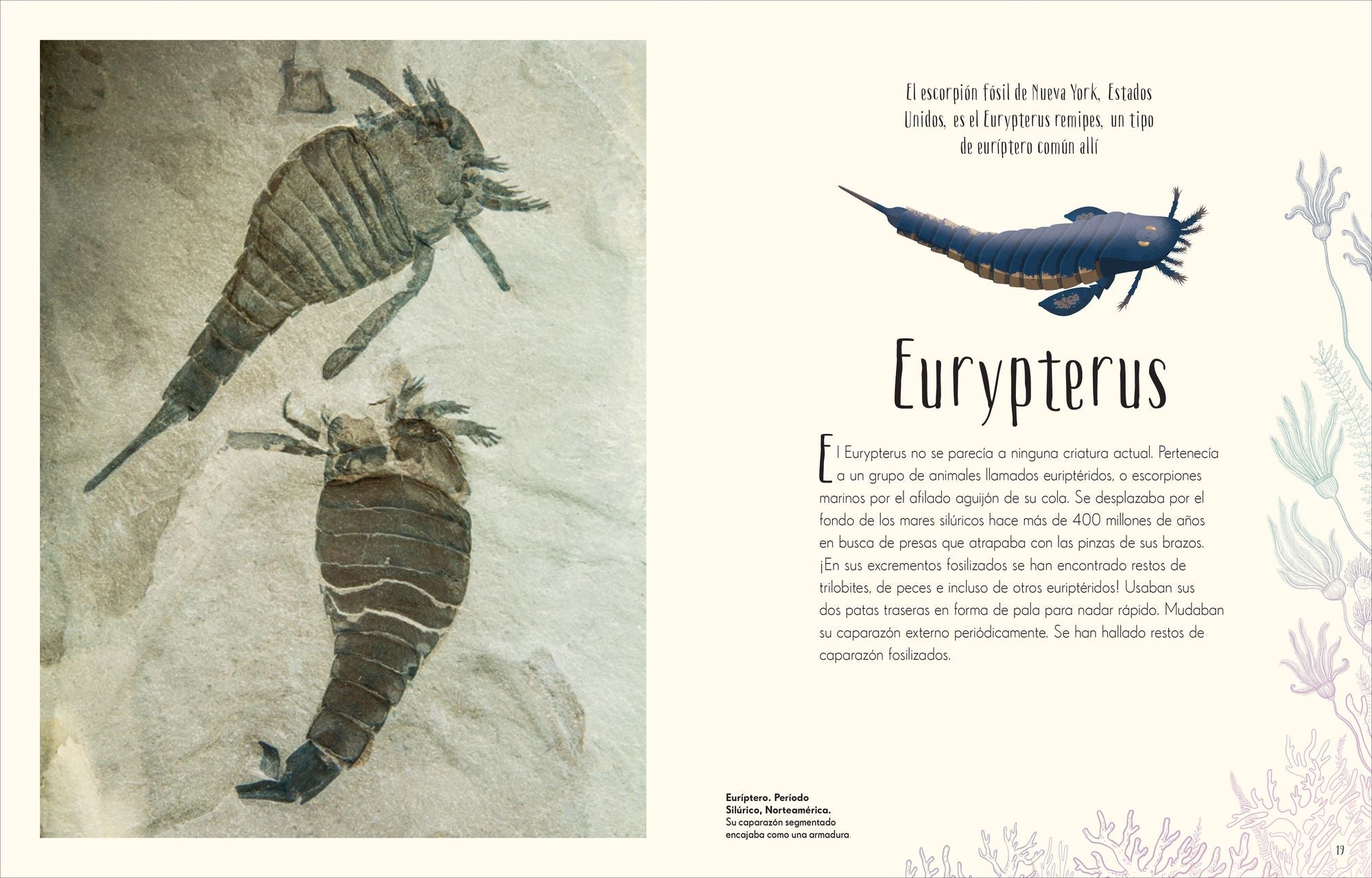 Antología de dinosaurios y vida prehistórica (Dinosaurs and Other Prehistoric Life)