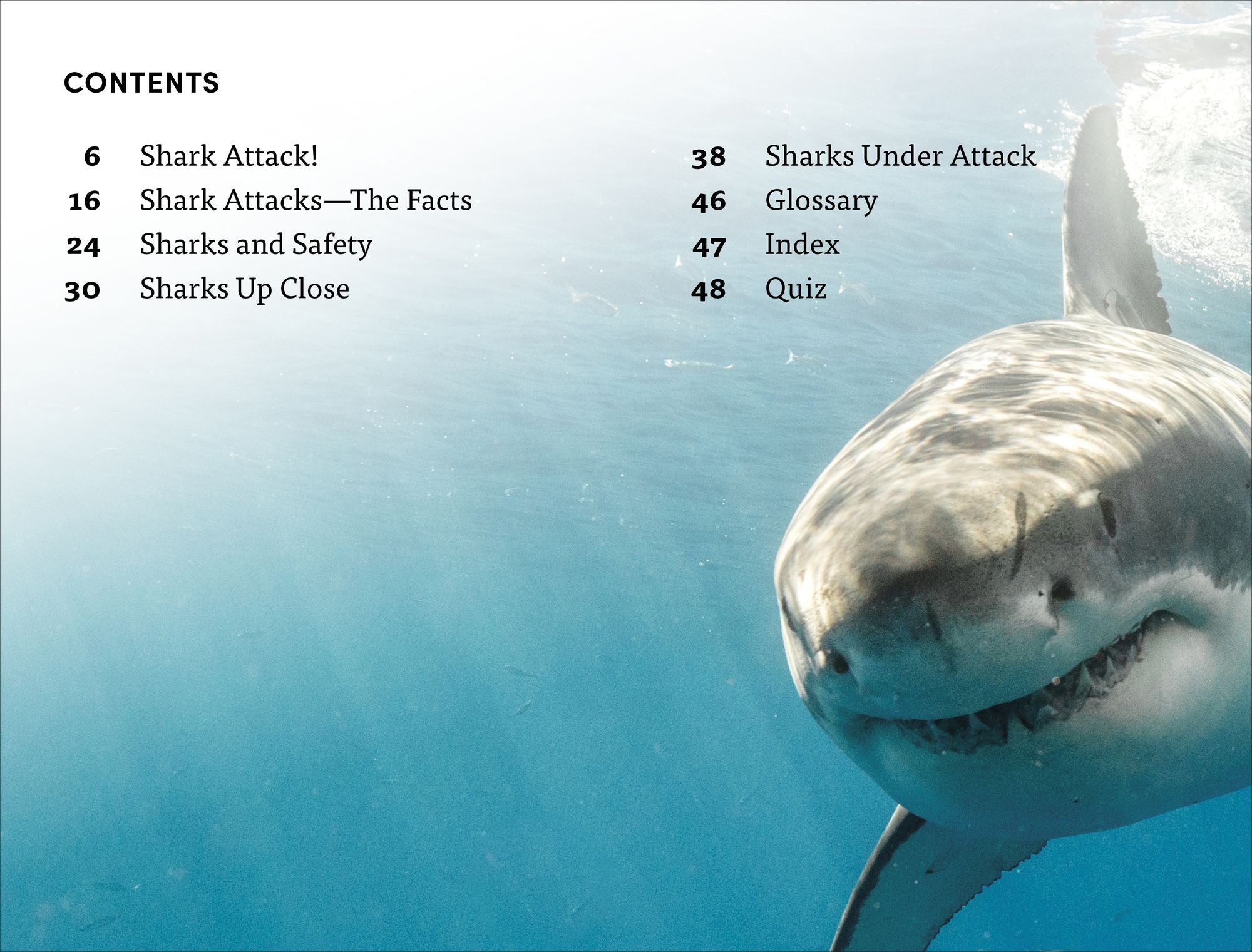 DK Super Readers Level 4 Shark Attack
