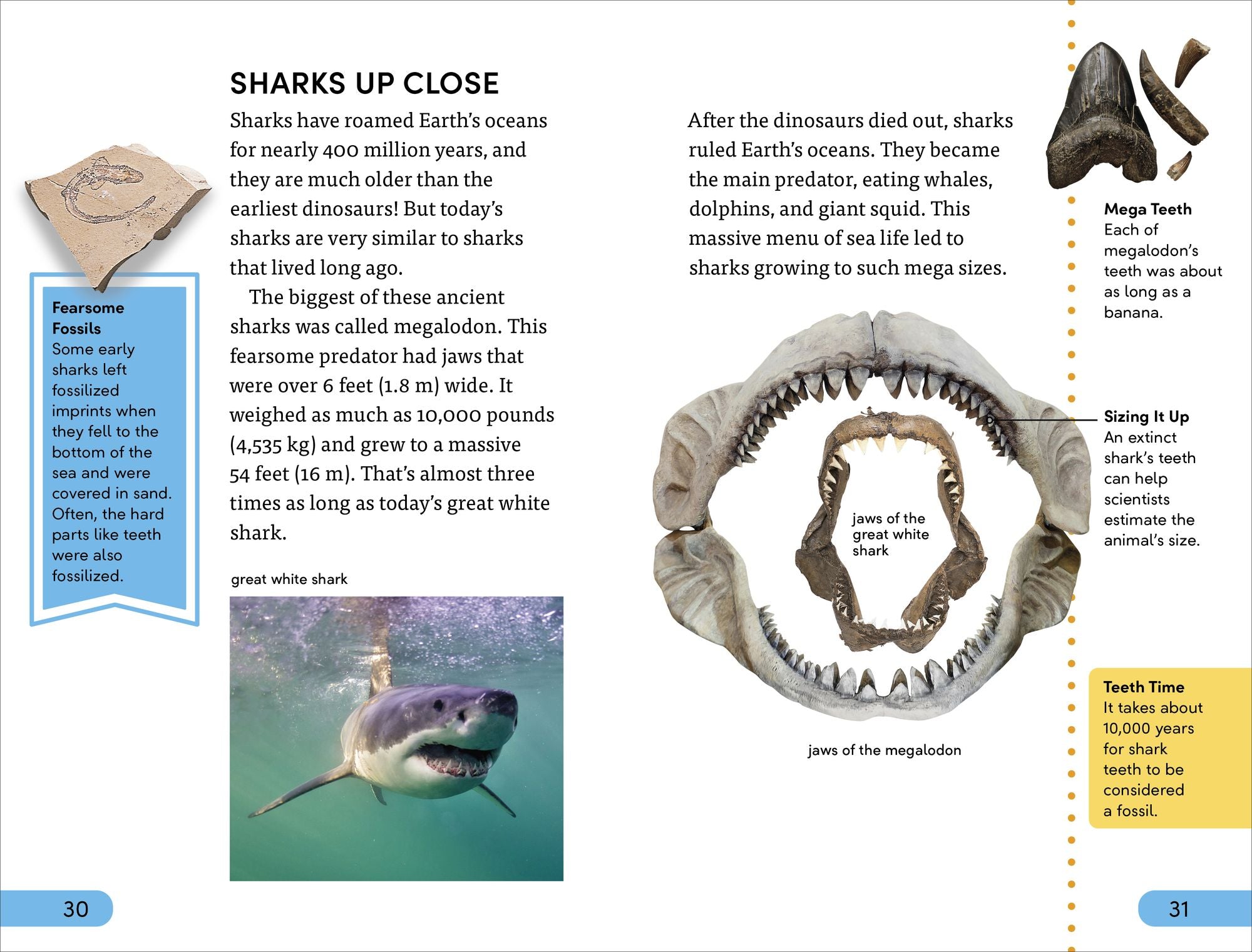 DK Super Readers Level 4 Shark Attack