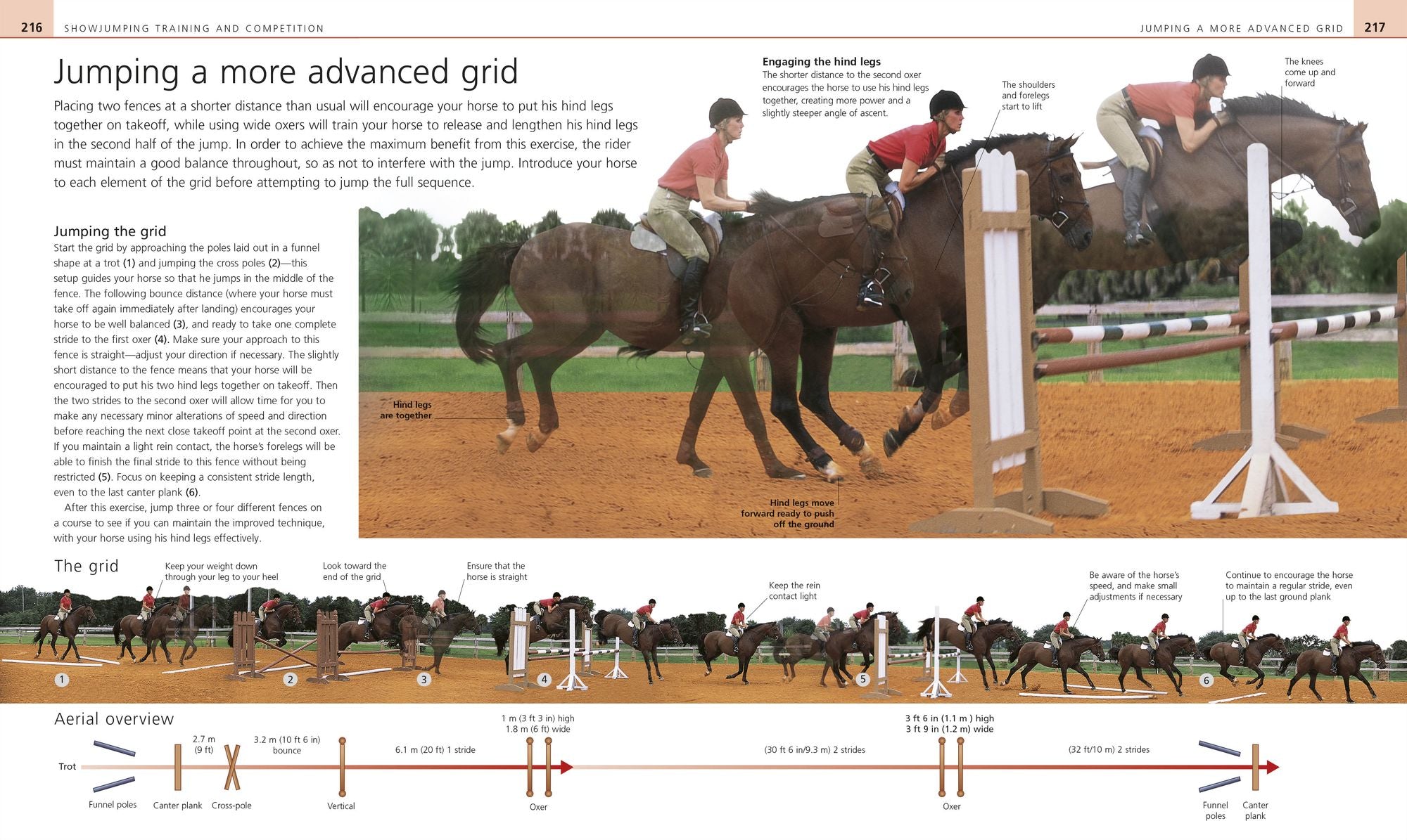 Complete Horse Riding Manual