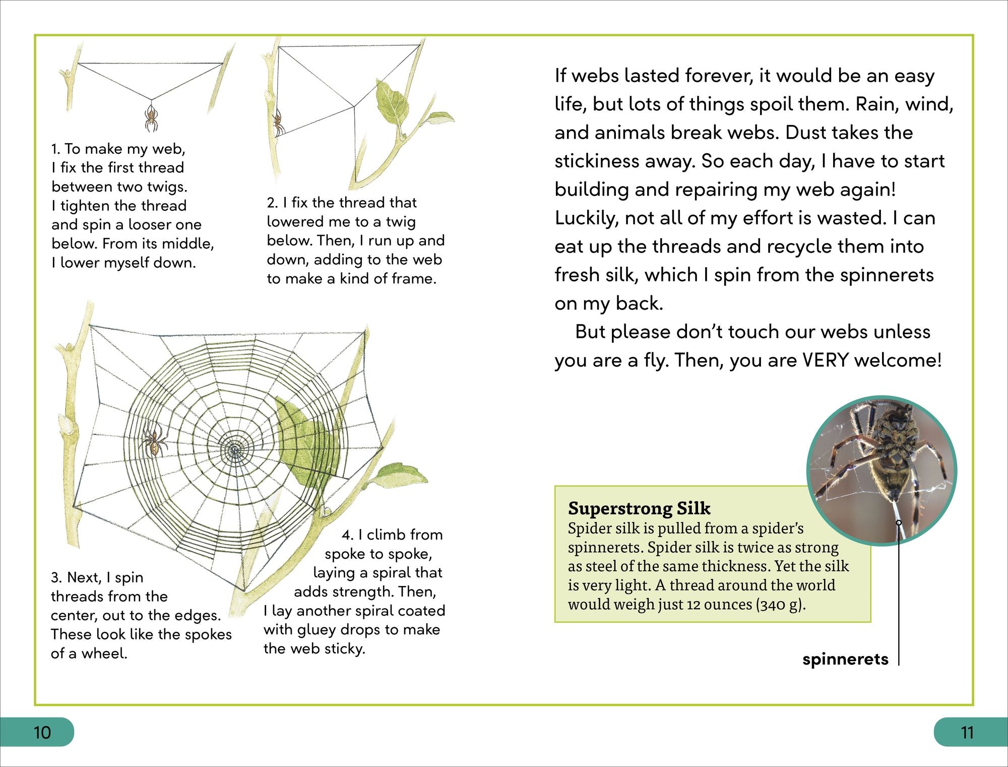 DK Super Readers Level 3 Spiders' Secrets