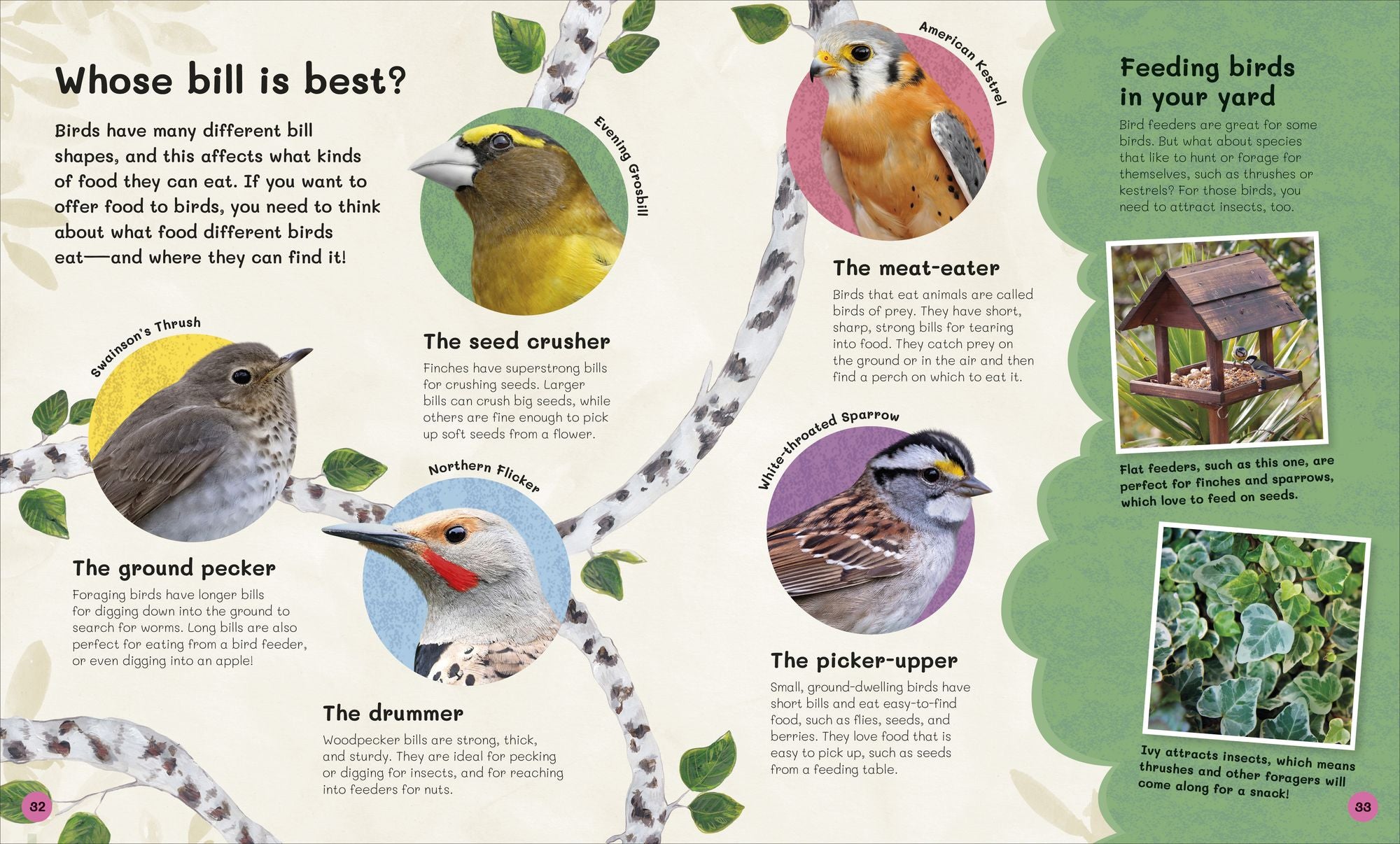 The Children's Book of Birdwatching: Nature-Friendly Tips for Spotting Birds