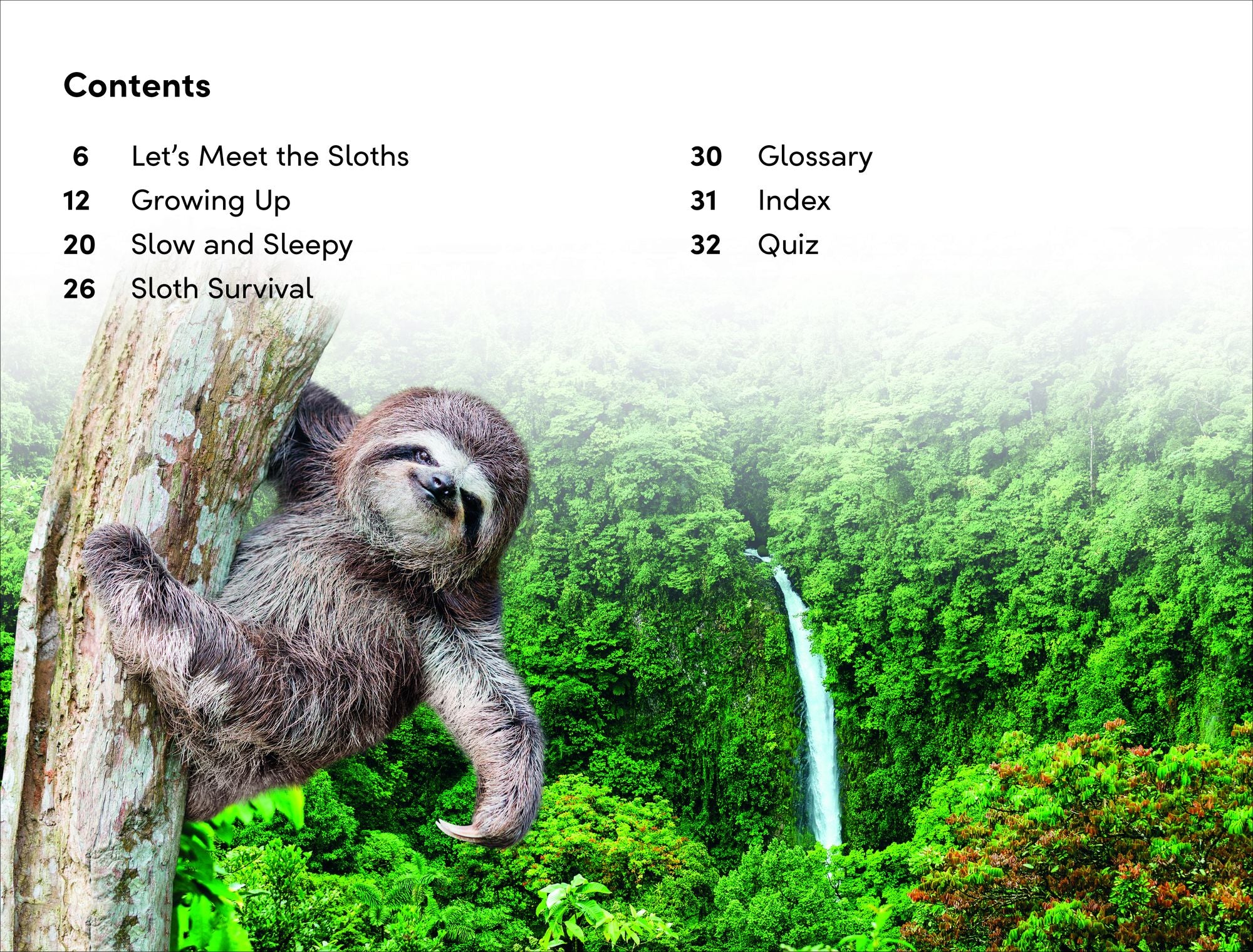 DK Super Readers Level 2 Sloths