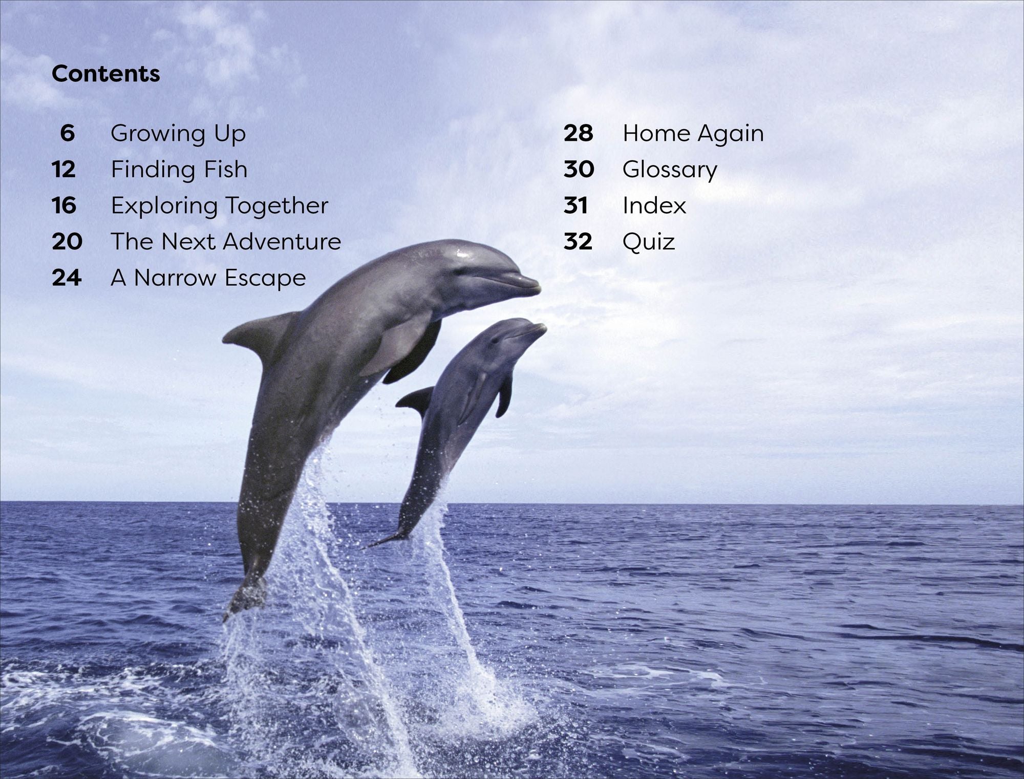 DK Super Readers Level 1 Diving Dolphin