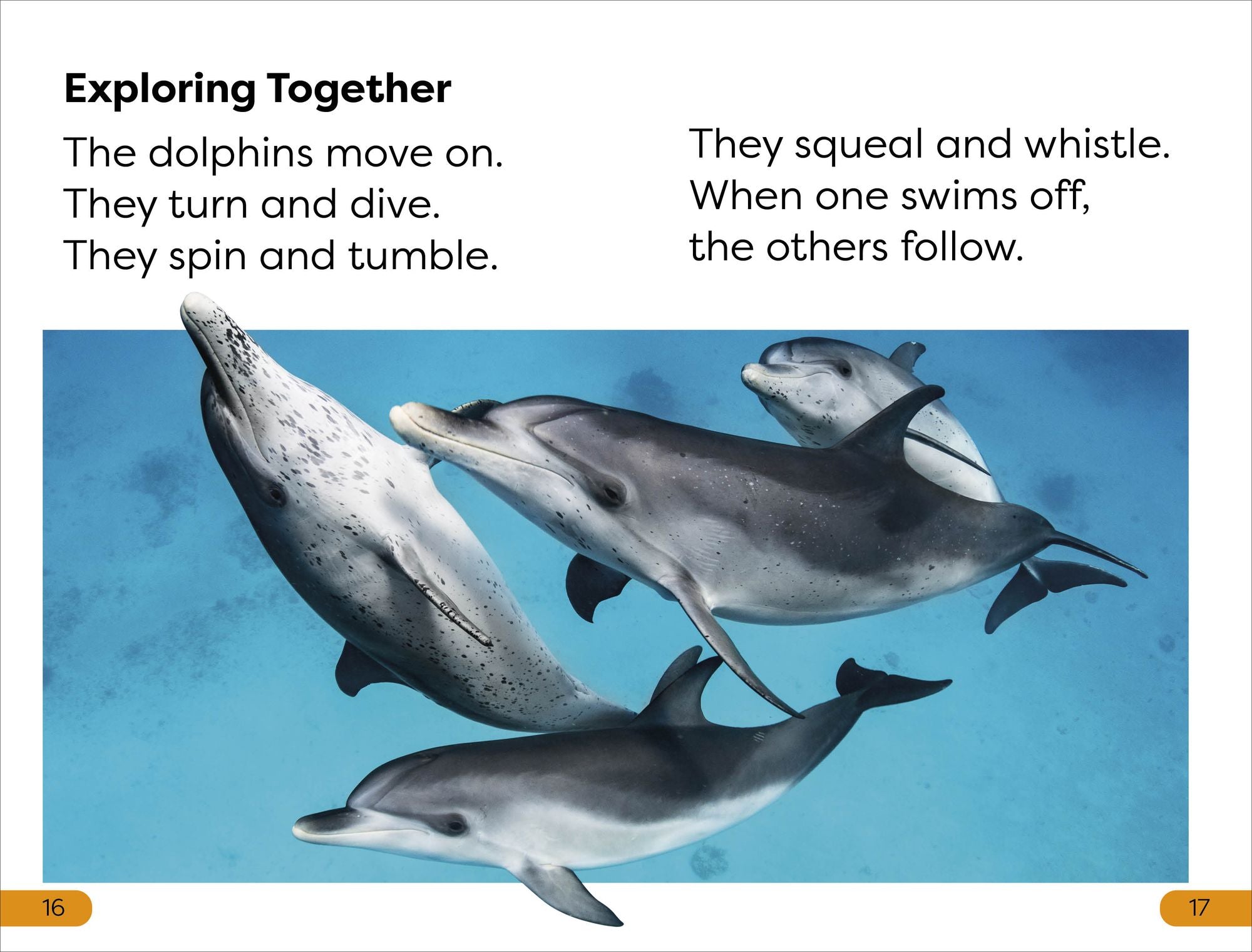 DK Super Readers Level 1 Diving Dolphin