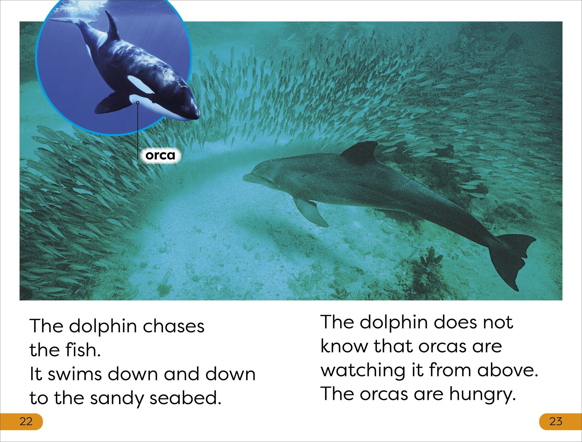 DK Super Readers Level 1 Diving Dolphin