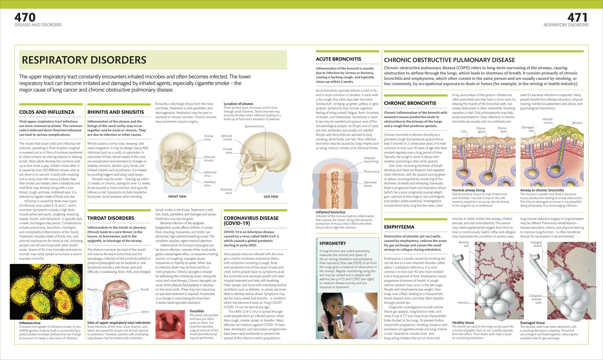 The Complete Human Body: The Definitive Visual Guide