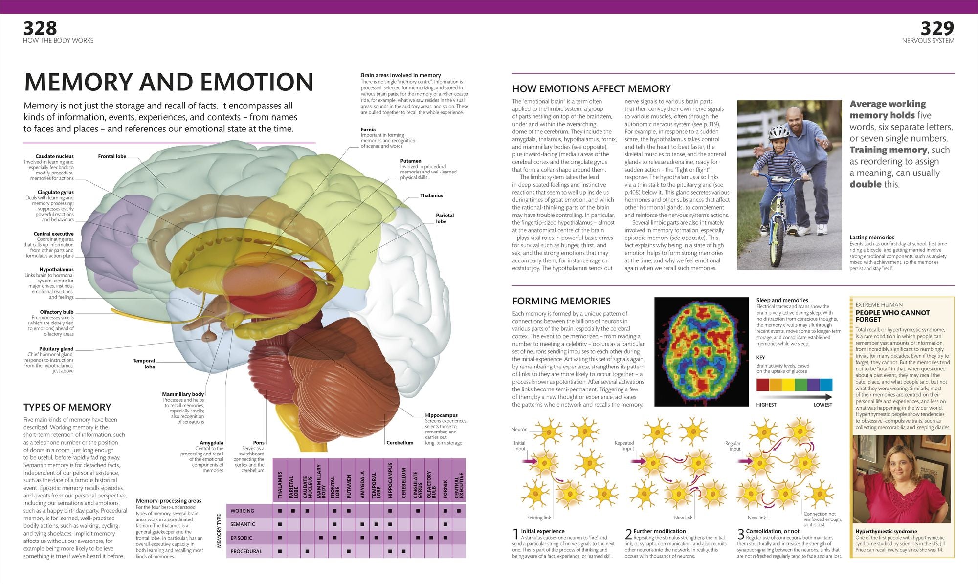 The Complete Human Body: The Definitive Visual Guide