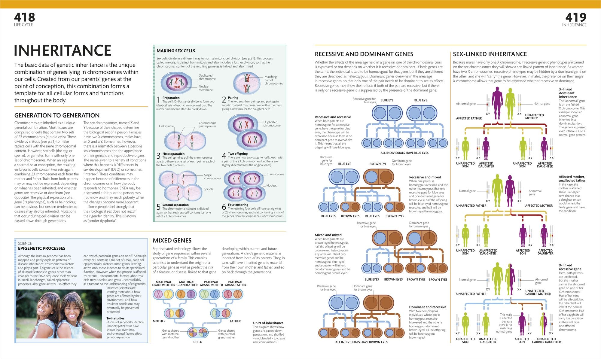 The Complete Human Body: The Definitive Visual Guide