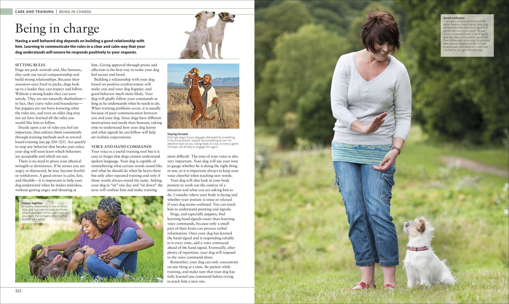 The Dog Encyclopedia
